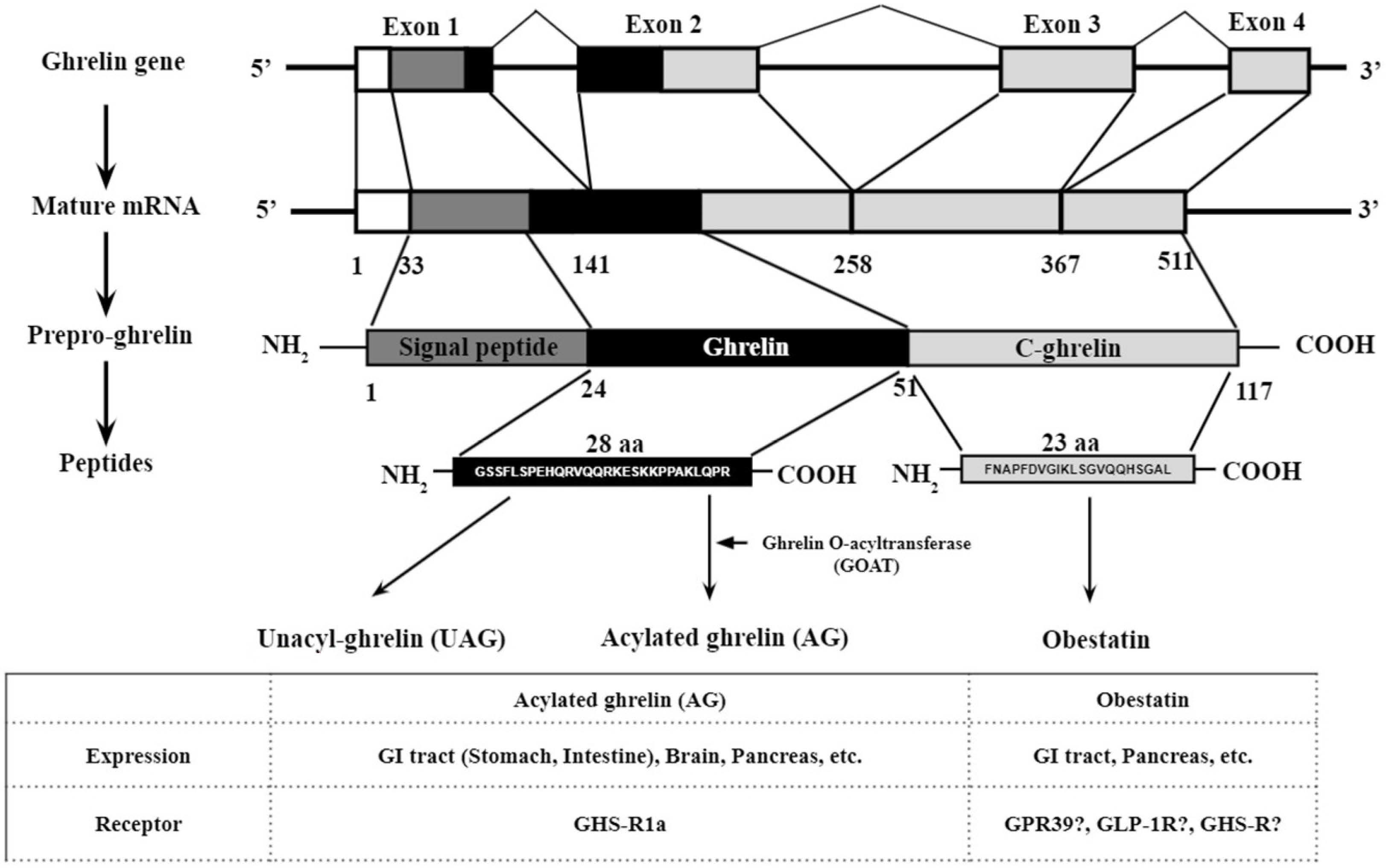 Biomolecules 12 00517 g001