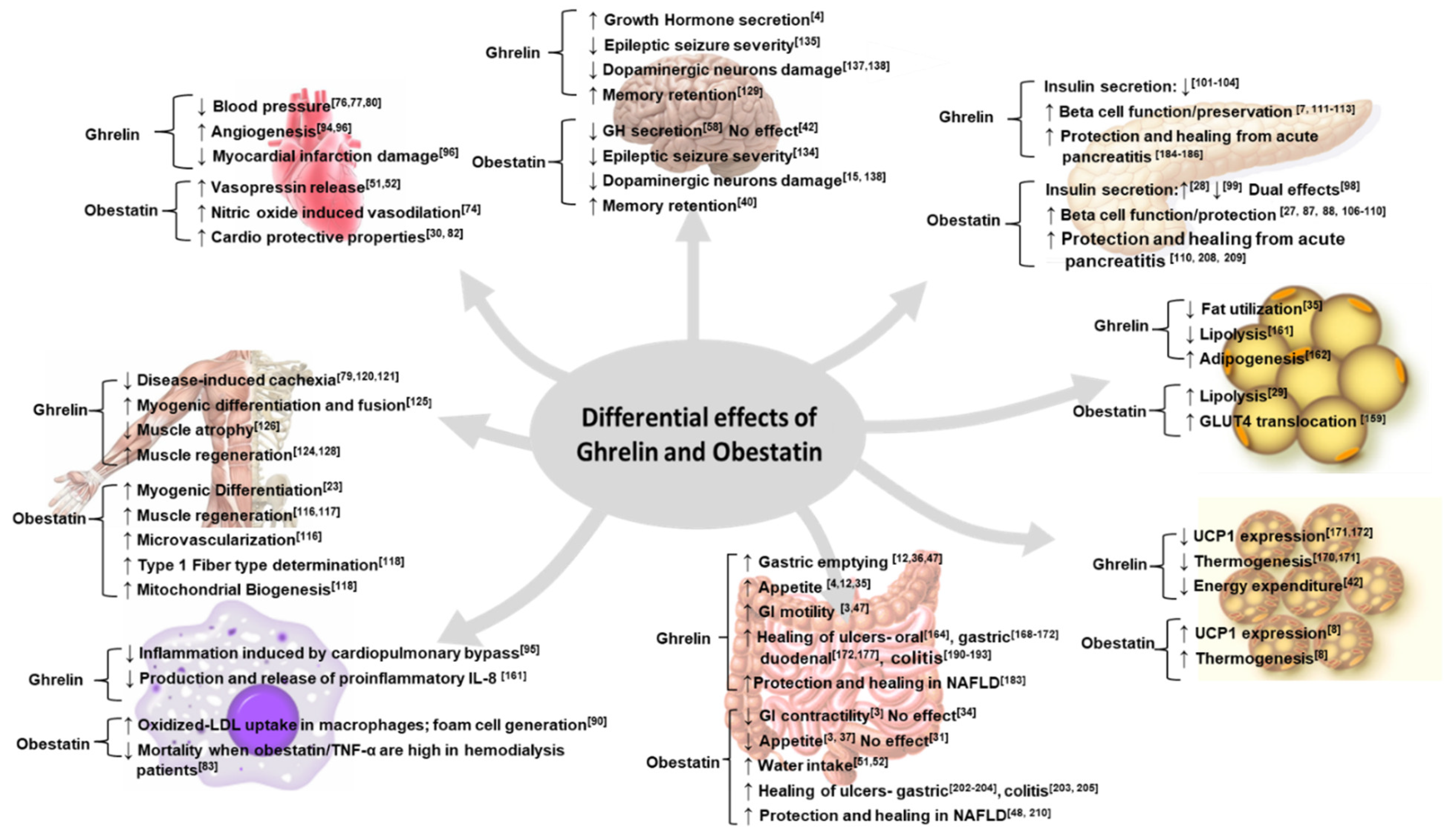 Biomolecules 12 00517 g002