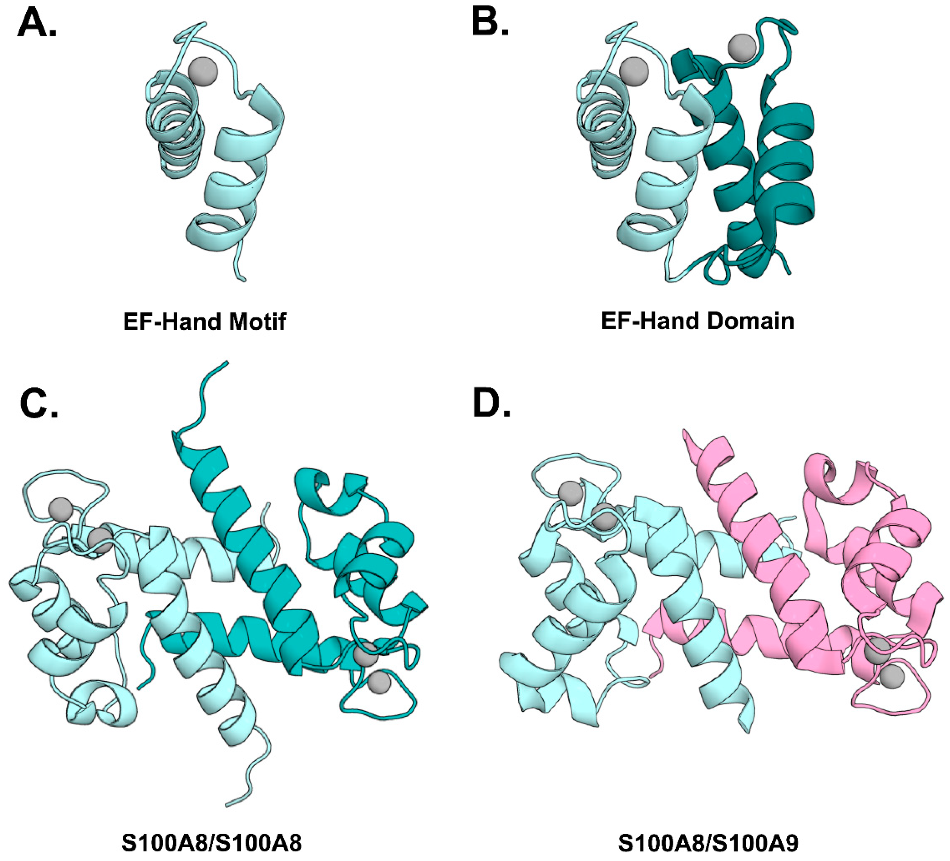 Biomolecules 12 00519 g002