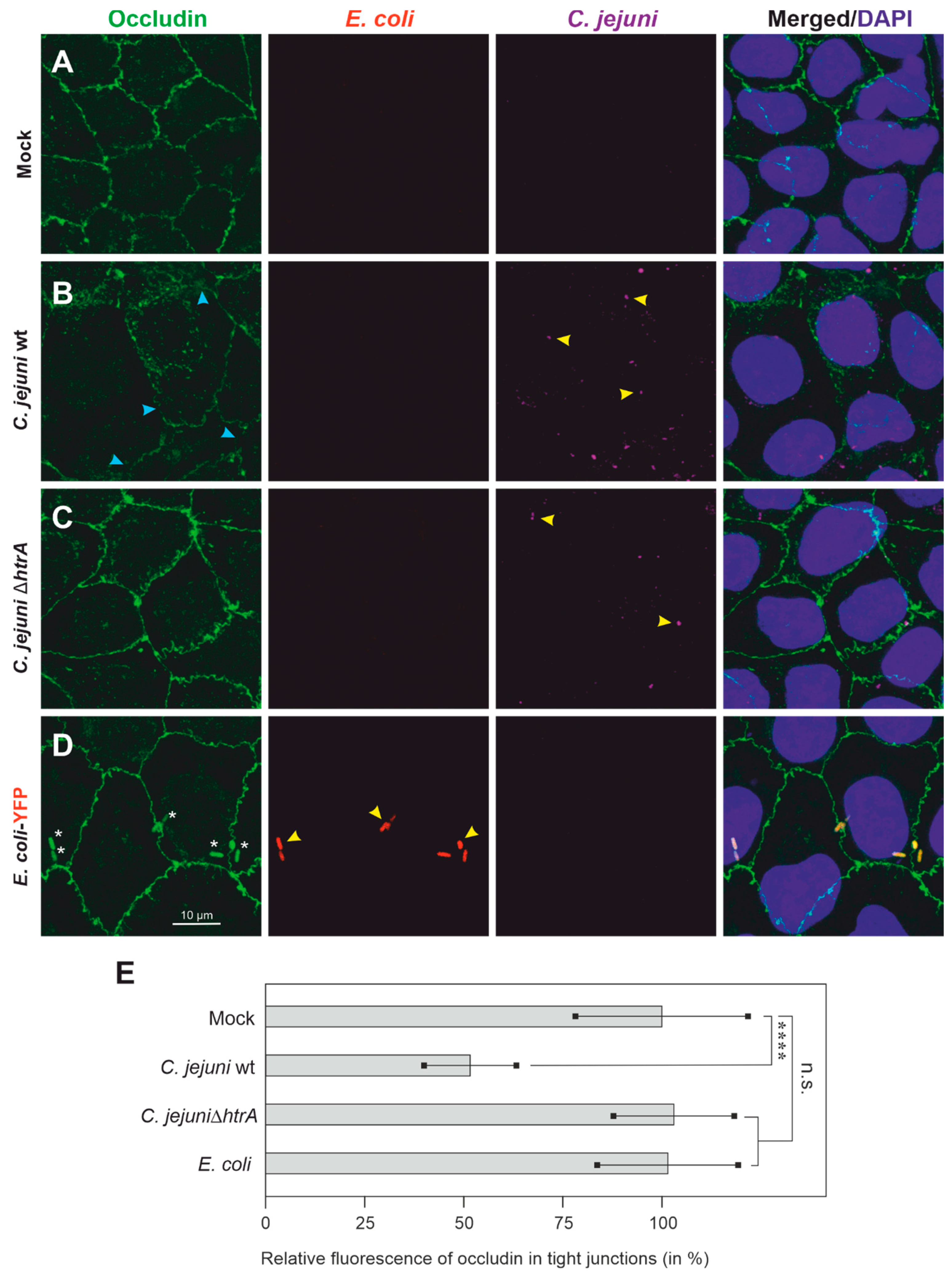 Biomolecules 12 00521 g002 Biomolecules 12 00521 g002