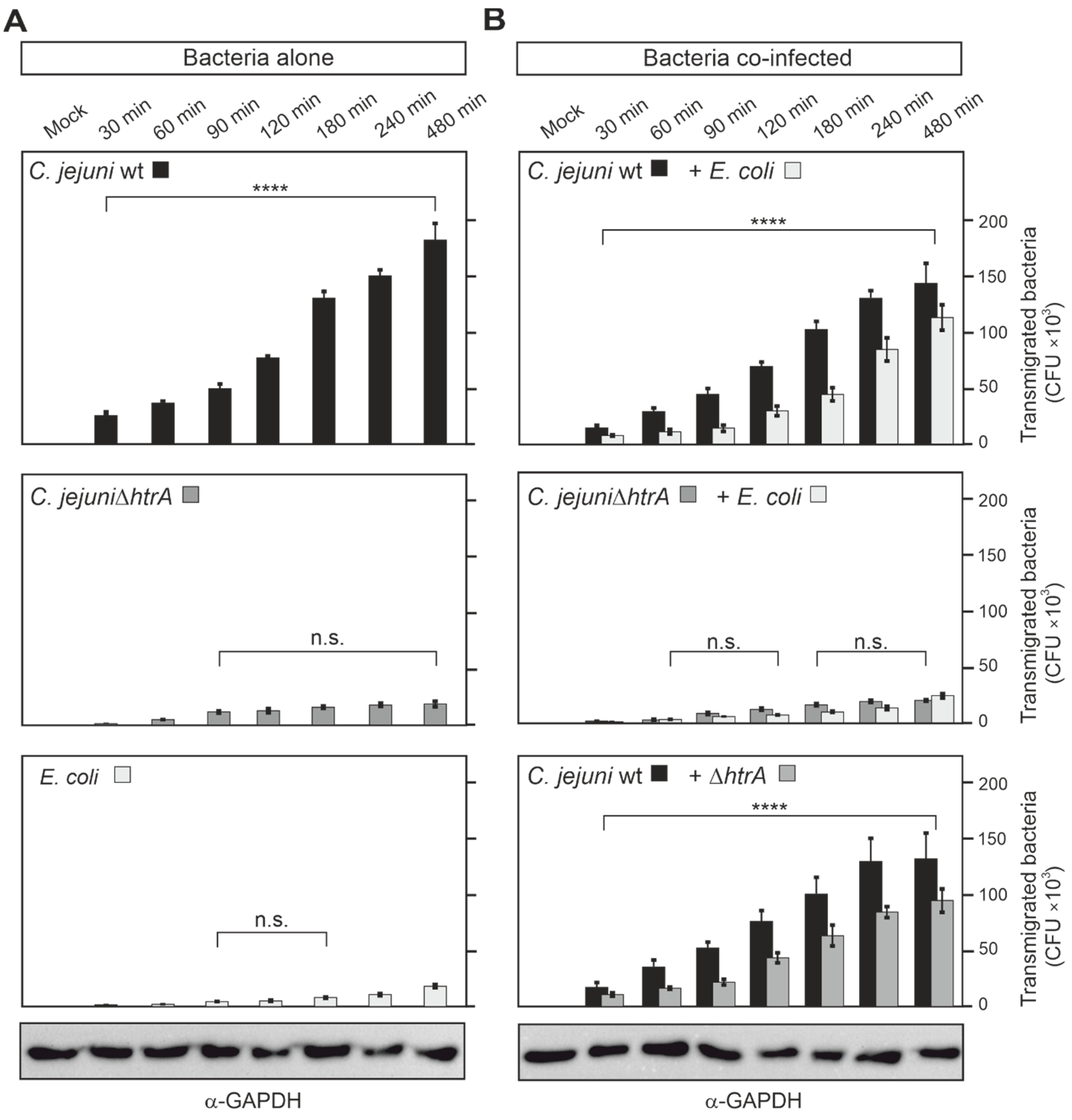Biomolecules 12 00521 g004 Biomolecules 12 00521 g004