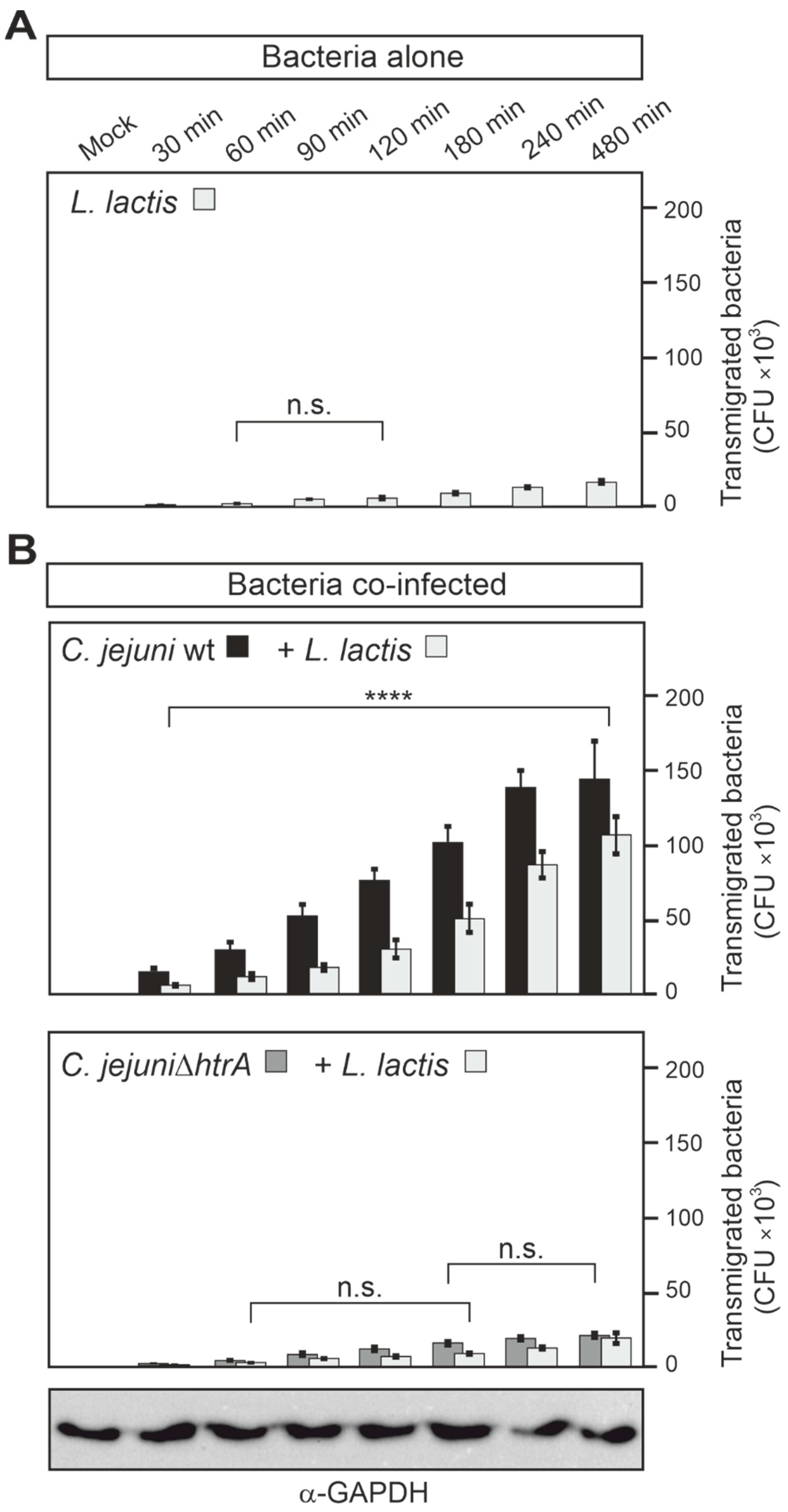 Biomolecules 12 00521 g005 Biomolecules 12 00521 g005