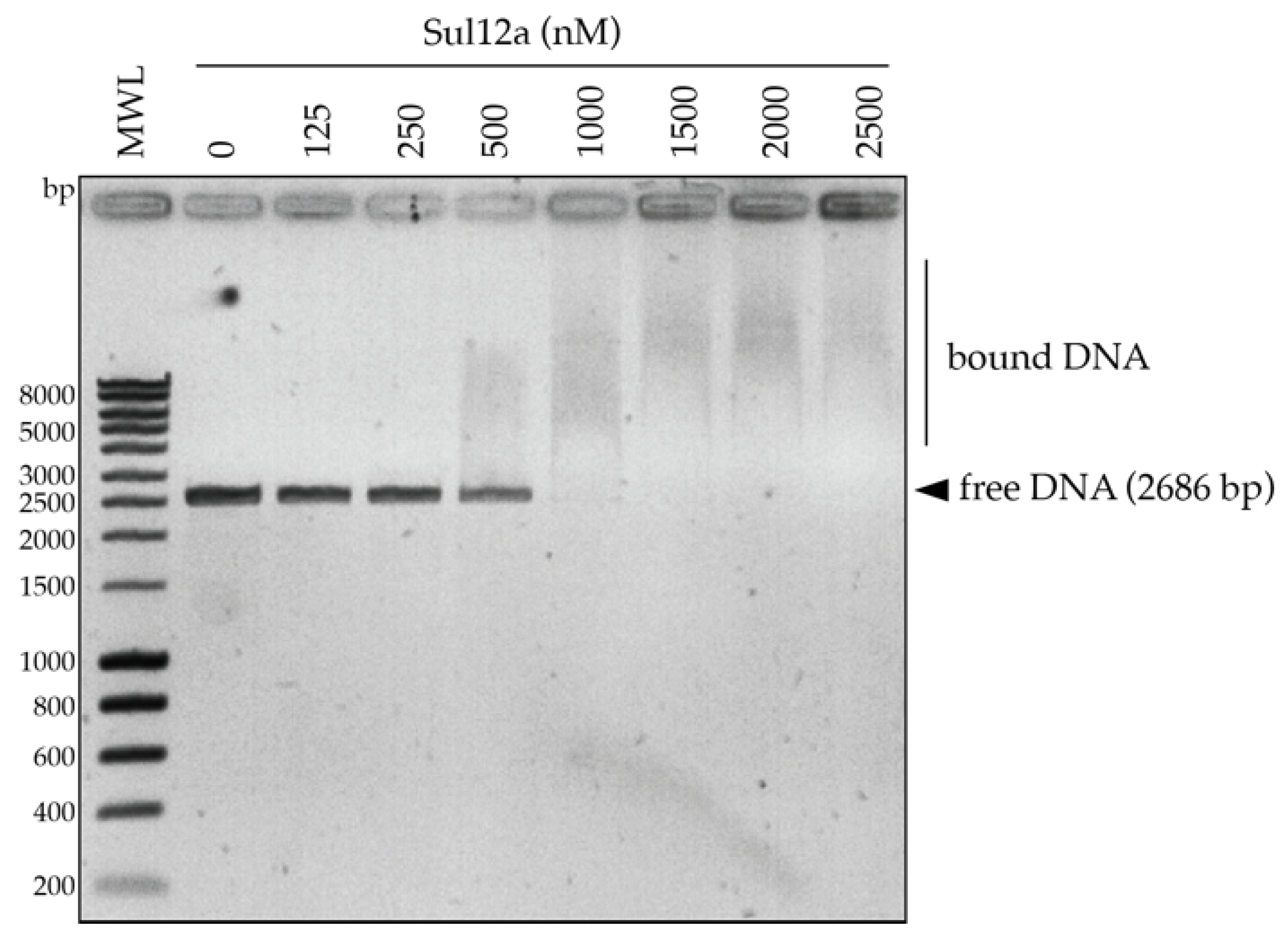 Biomolecules 12 00524 g004