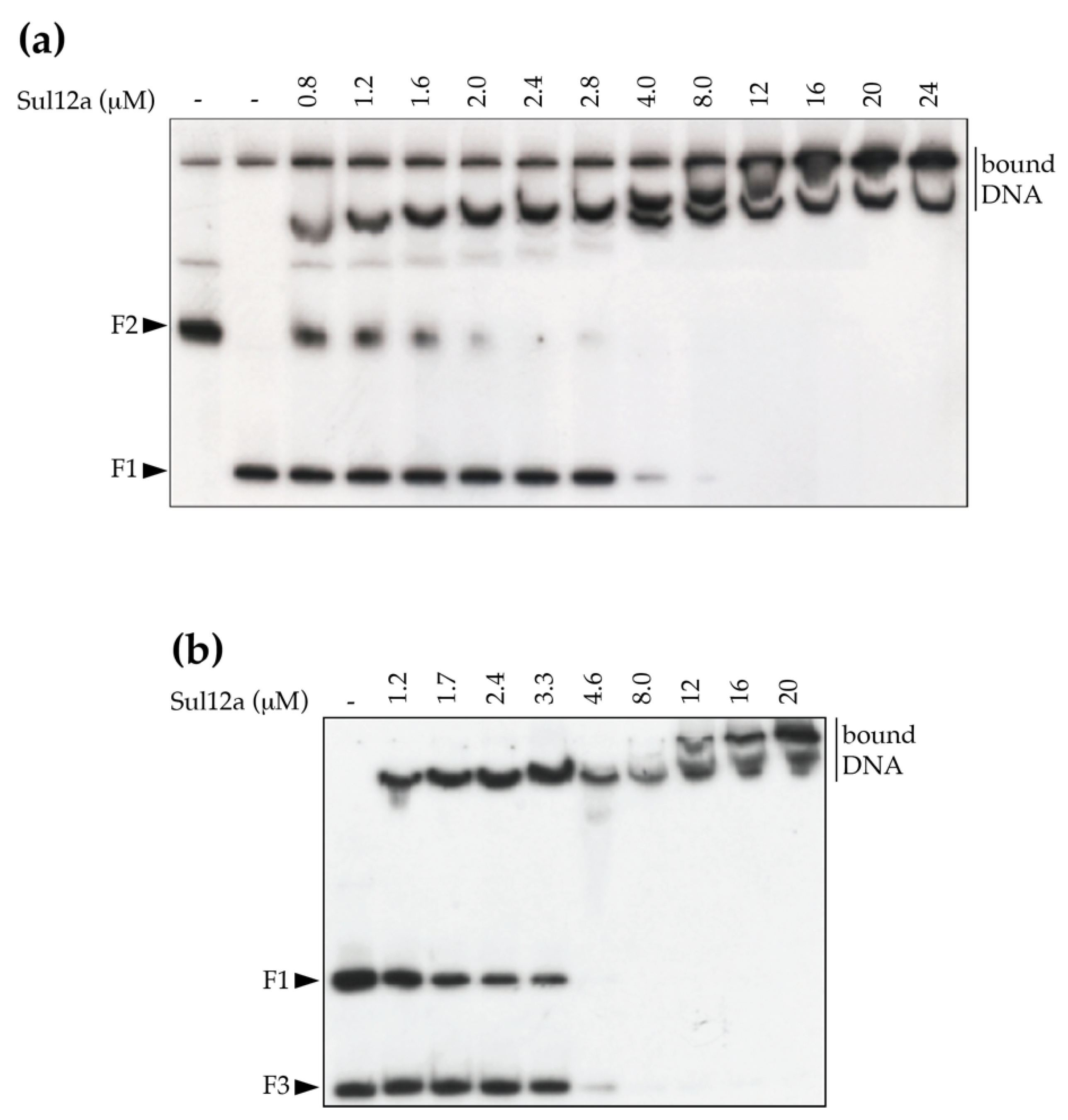 Biomolecules 12 00524 g006