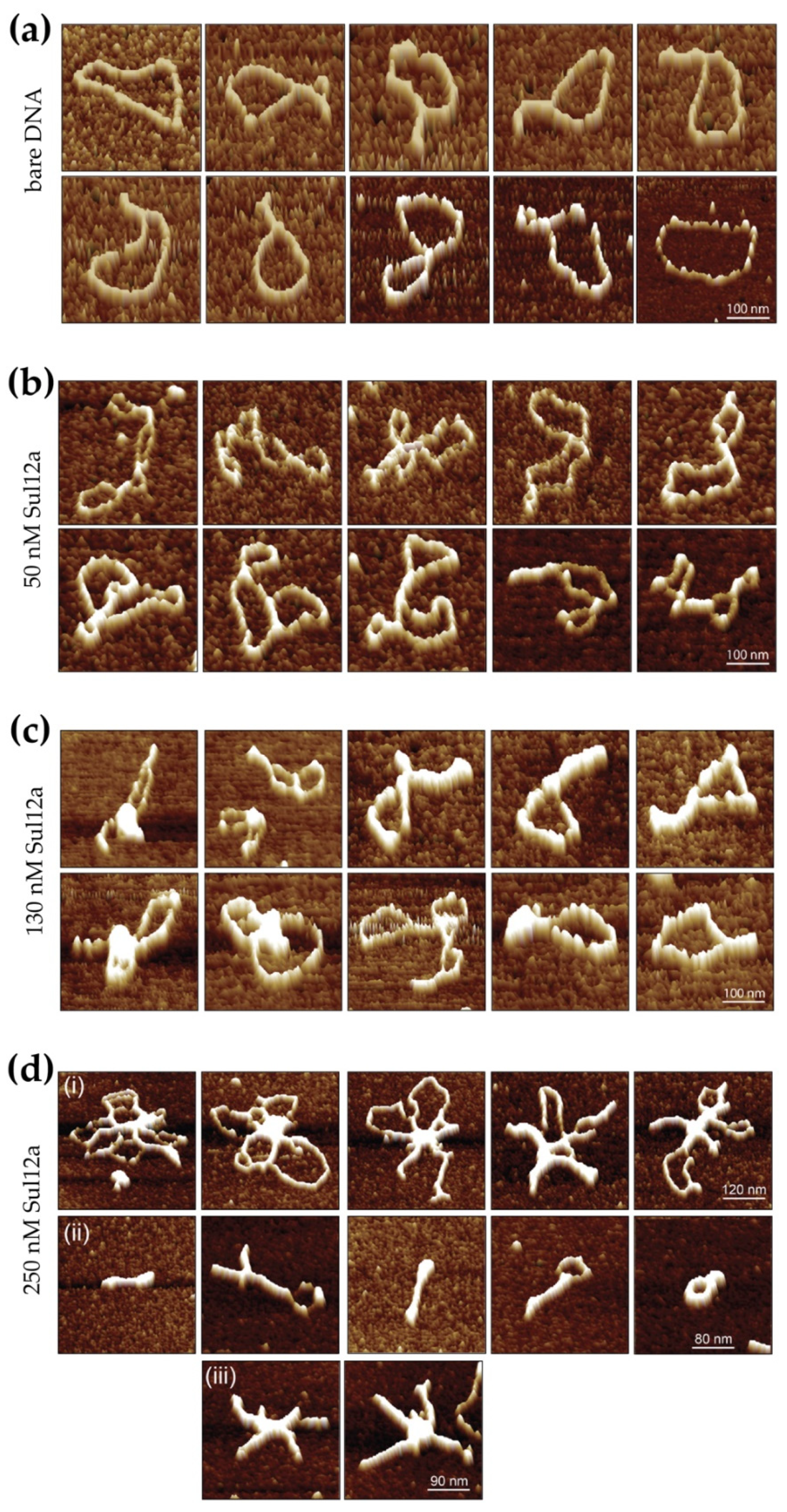 Biomolecules 12 00524 g007
