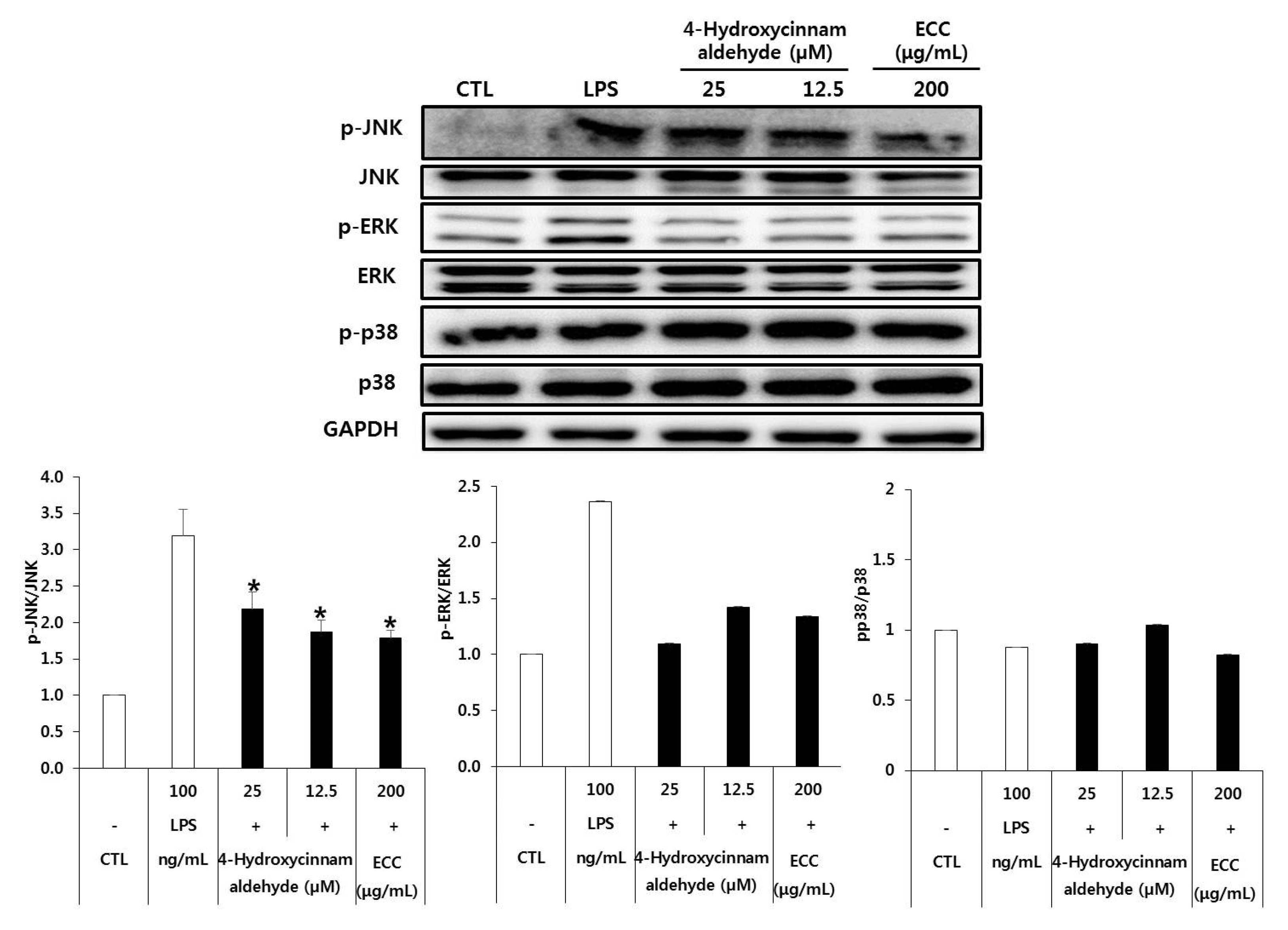 Biomolecules 12 00525 g007 Biomolecules 12 00525 g007