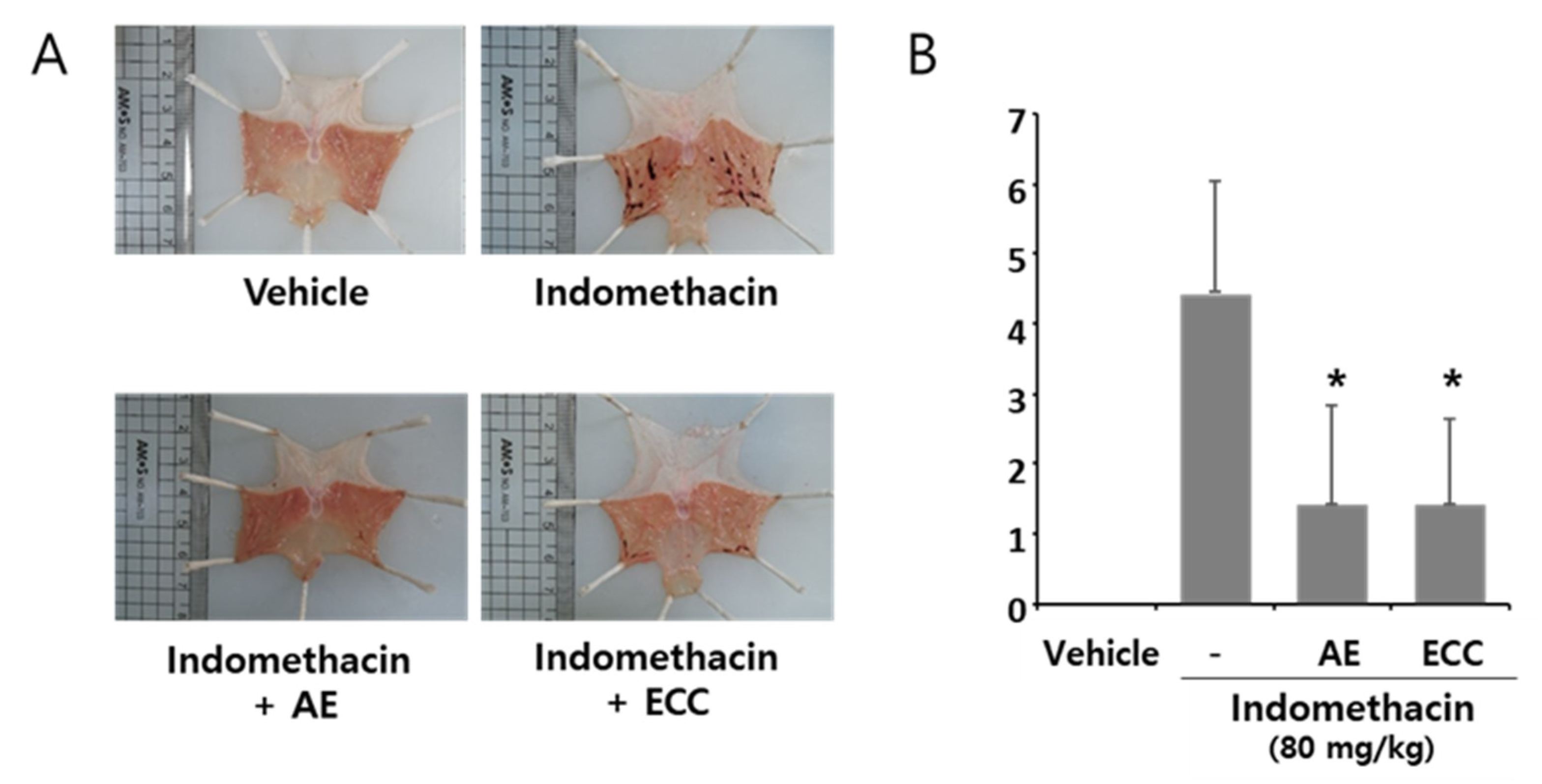 Biomolecules 12 00525 g009 Biomolecules 12 00525 g009