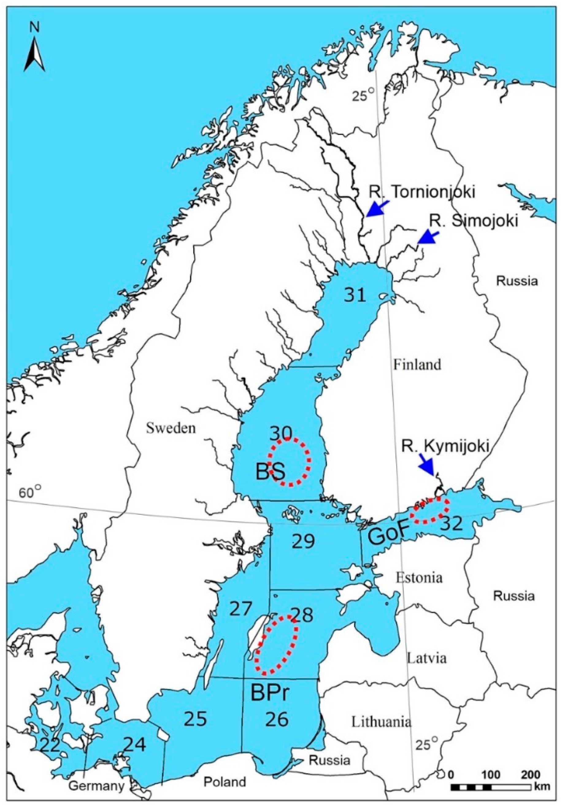 Biomolecules 12 00526 g001
