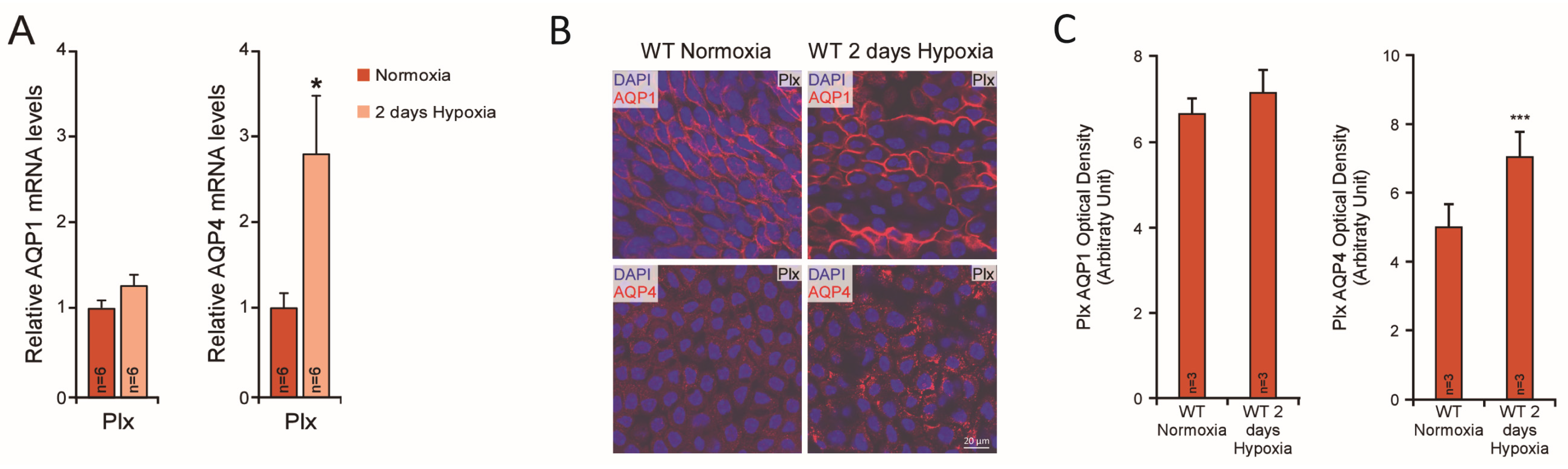 Biomolecules 12 00530 g003 Biomolecules 12 00530 g003