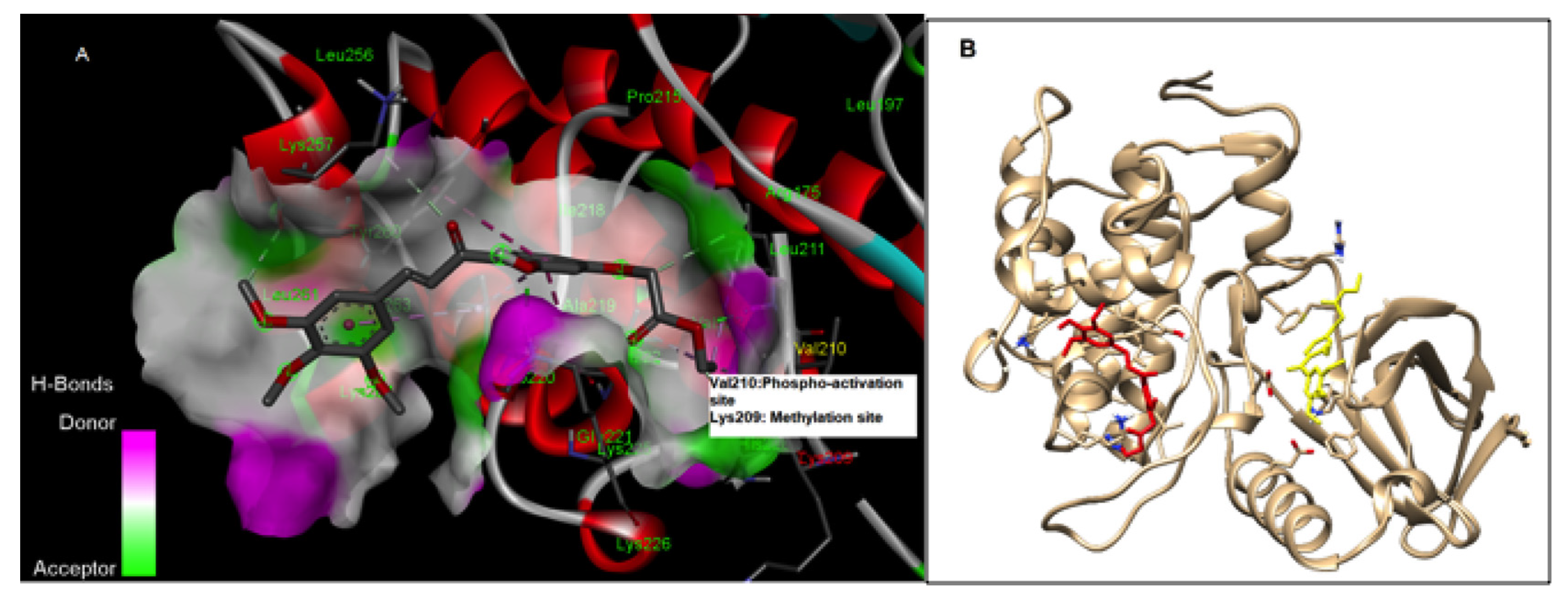 Biomolecules 12 00531 g002 550