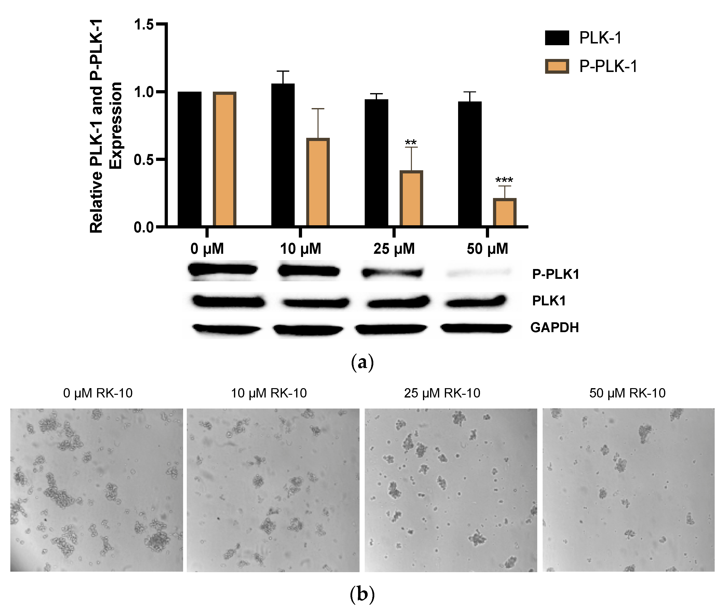Biomolecules 12 00531 g006 550