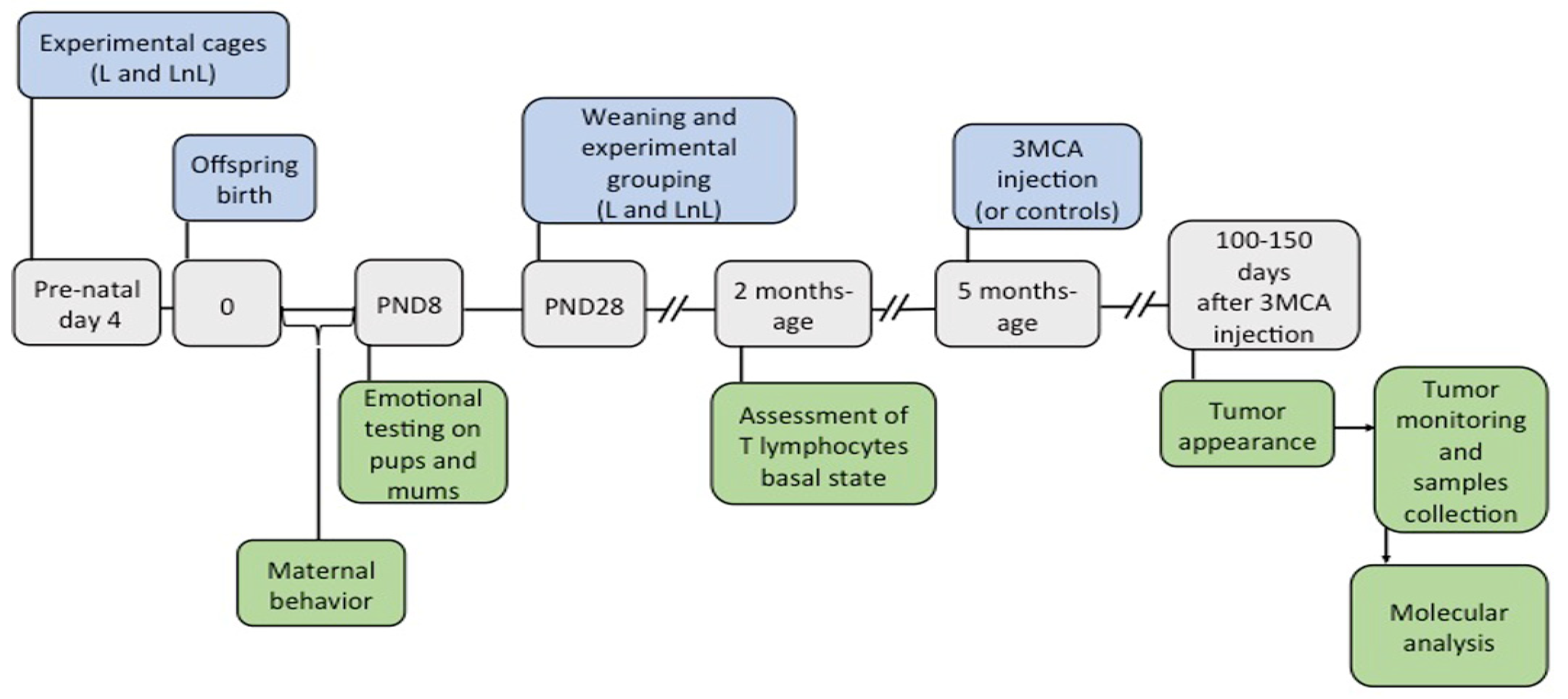 Biomolecules 12 00532 g001