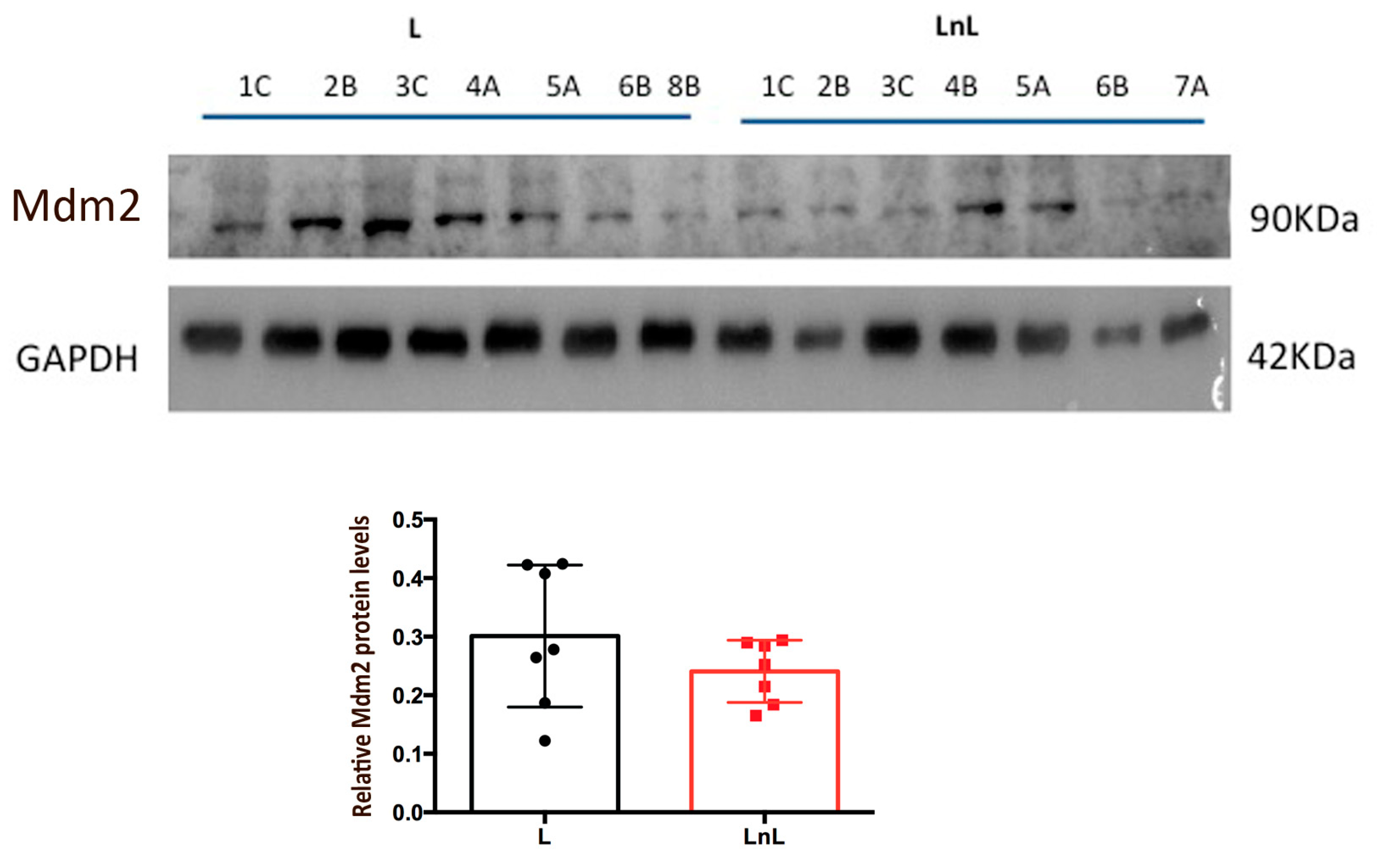Biomolecules 12 00532 g006