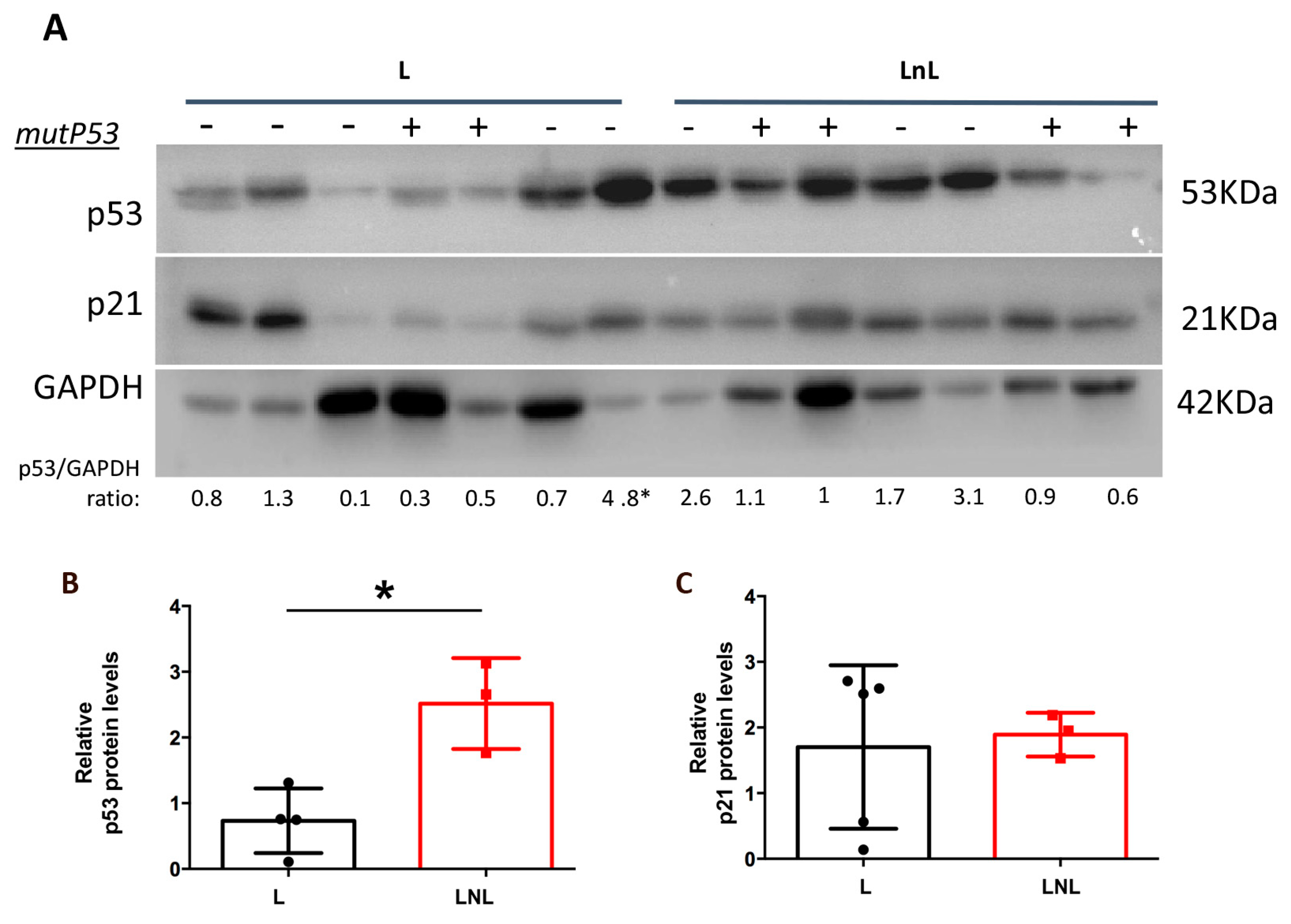 Biomolecules 12 00532 g007