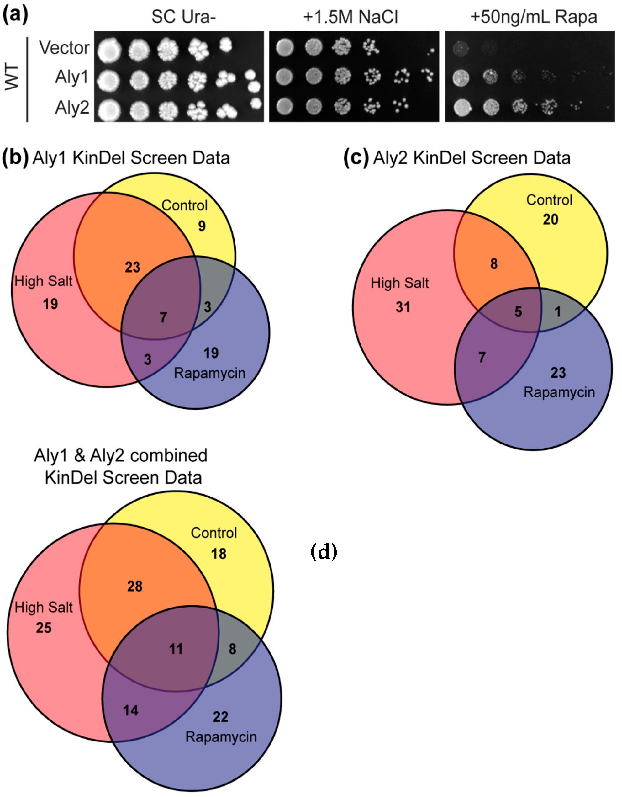 Biomolecules 12 00533 g001 550