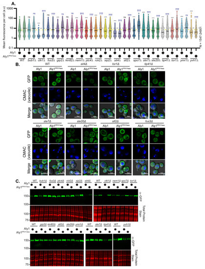 Biomolecules | An Open Access Journal from MDPI