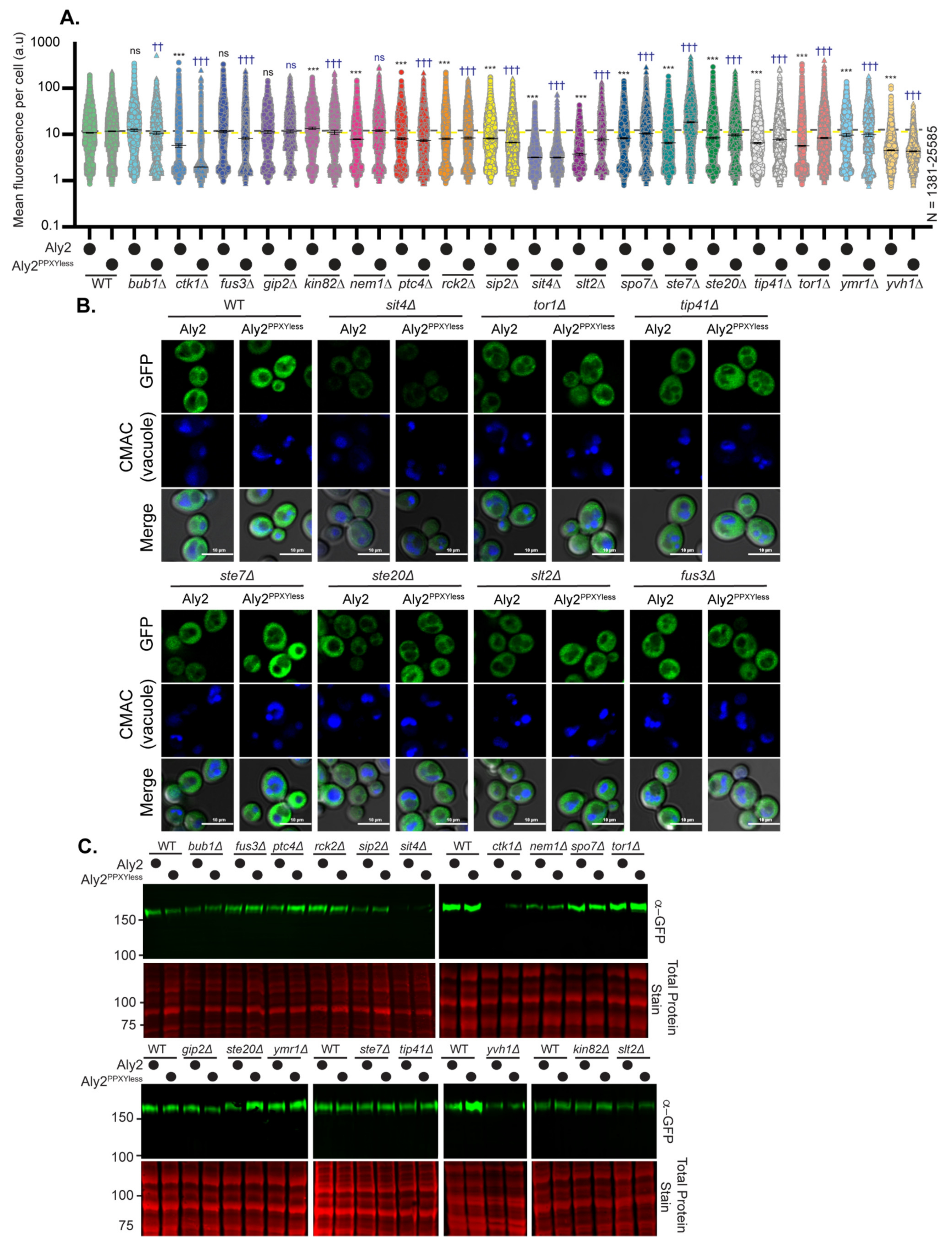 Biomolecules 12 00533 g004 550