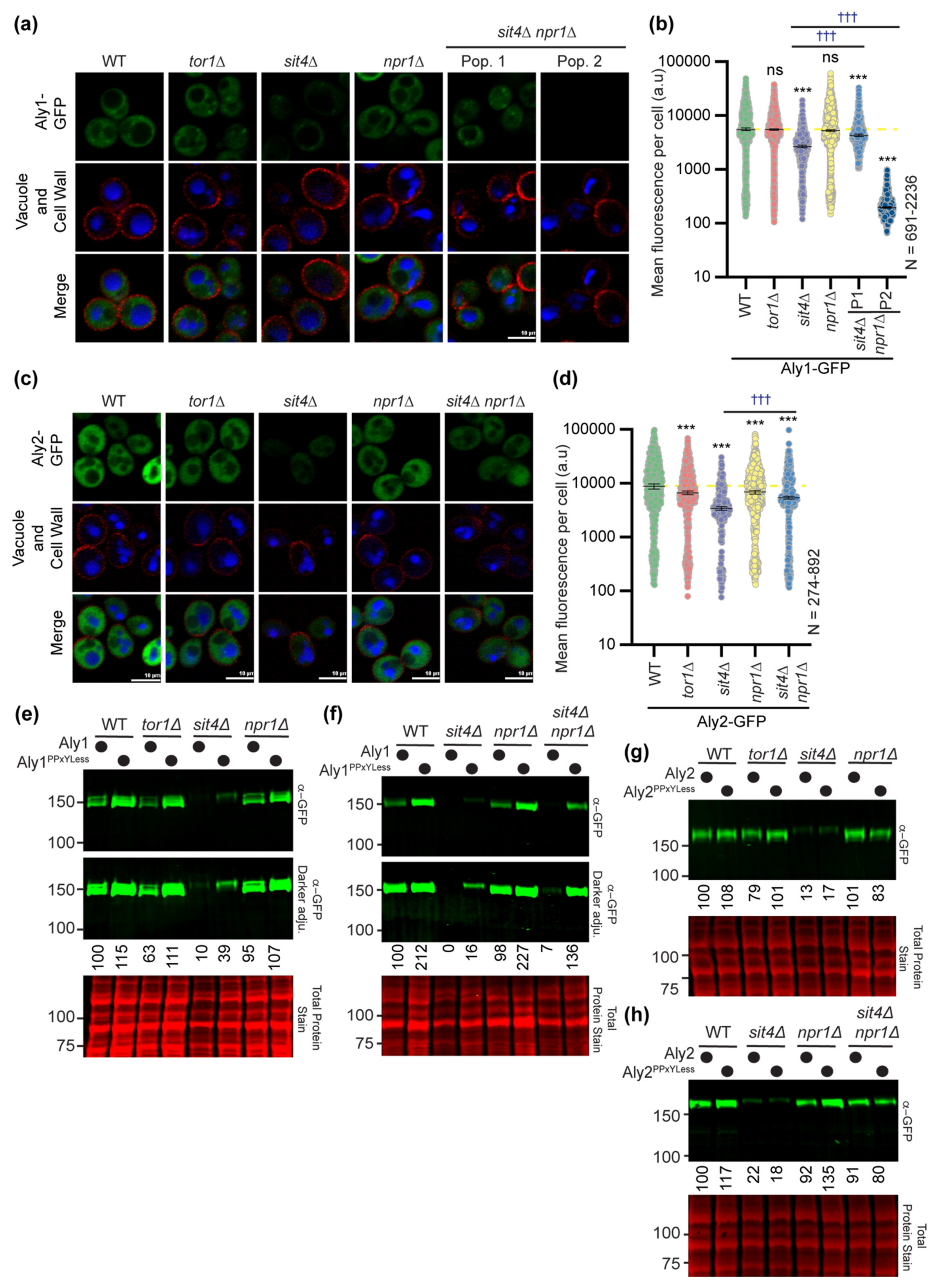 Biomolecules 12 00533 g006 550