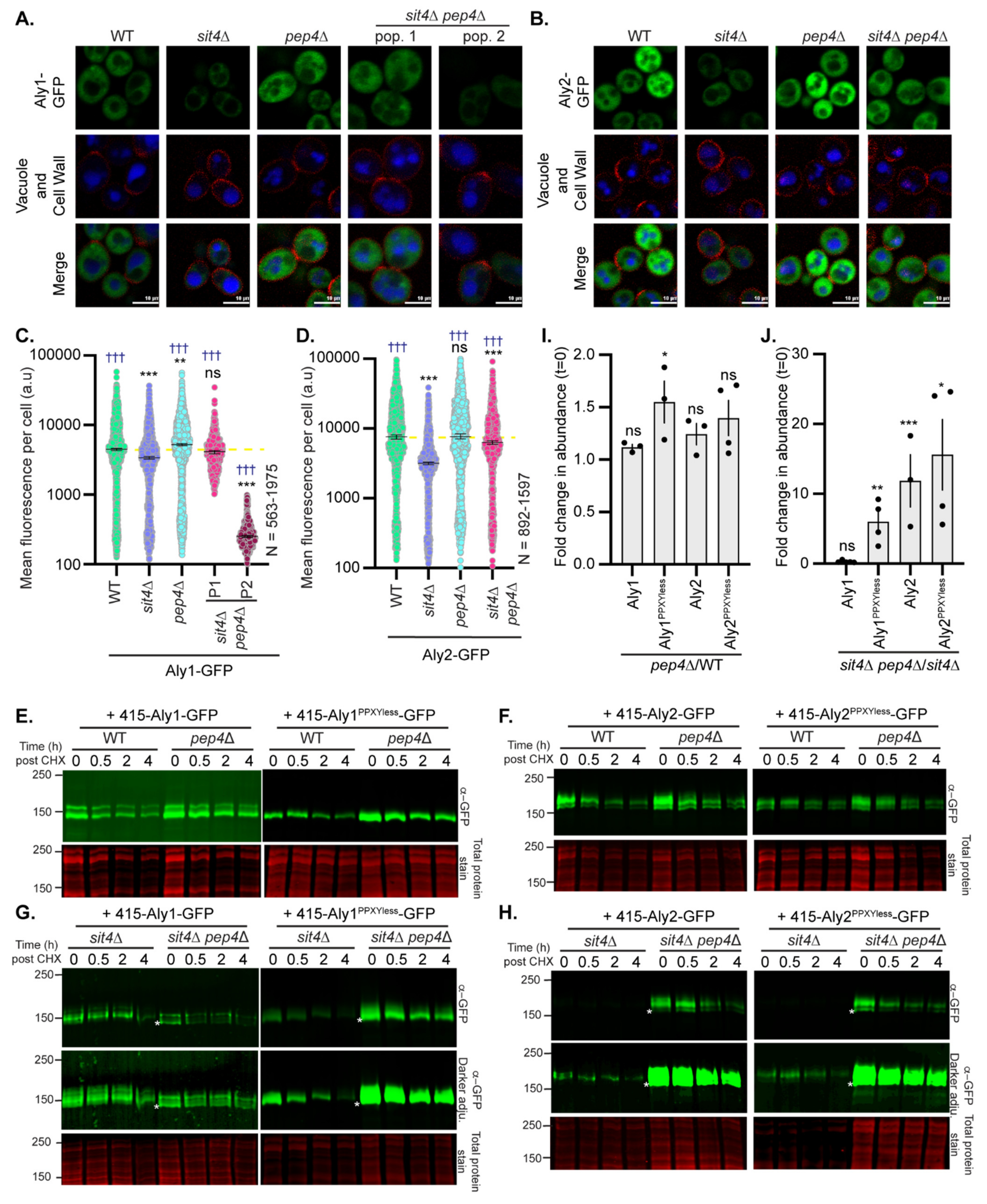 Biomolecules 12 00533 g009 550