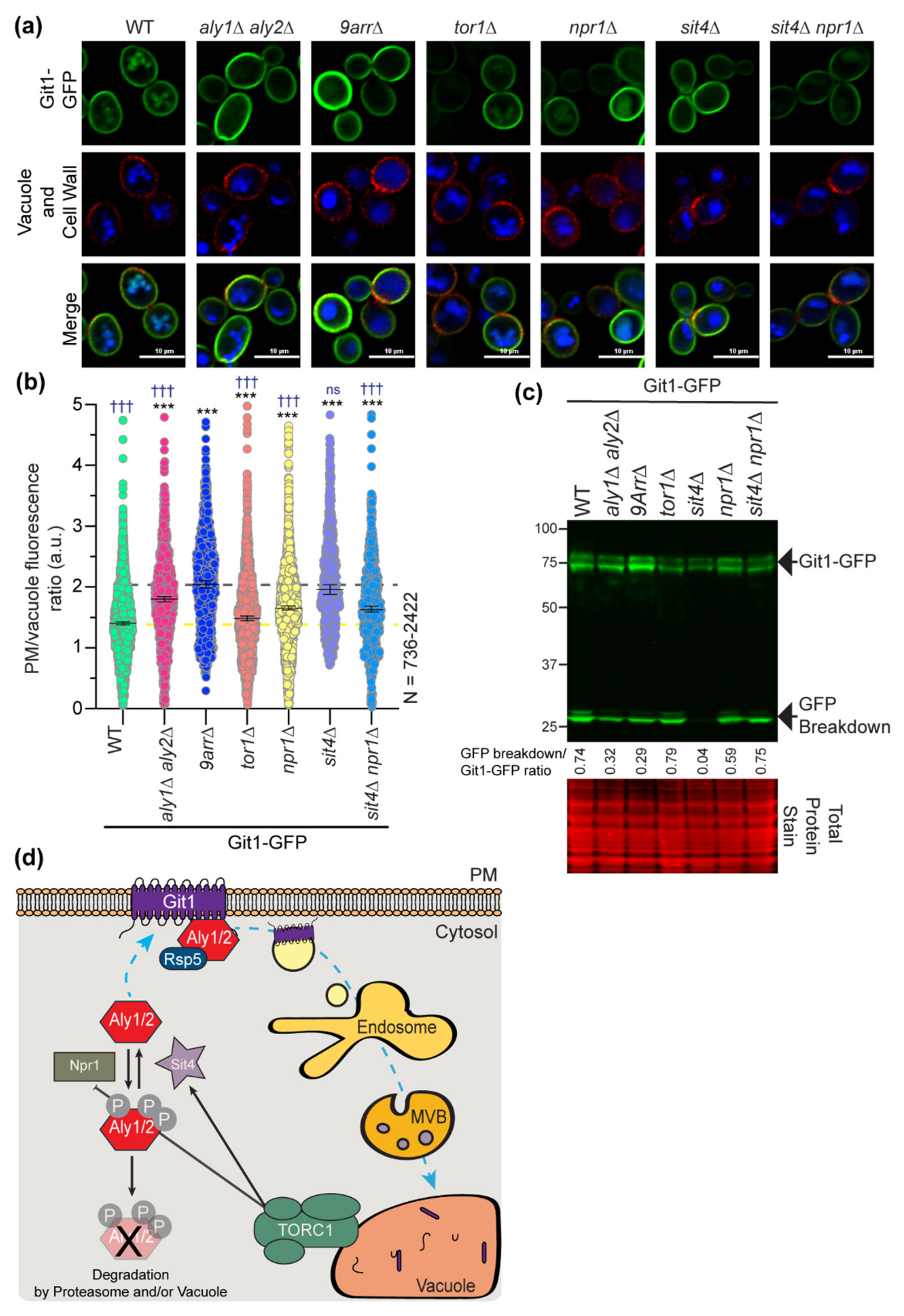 Biomolecules 12 00533 g010 550