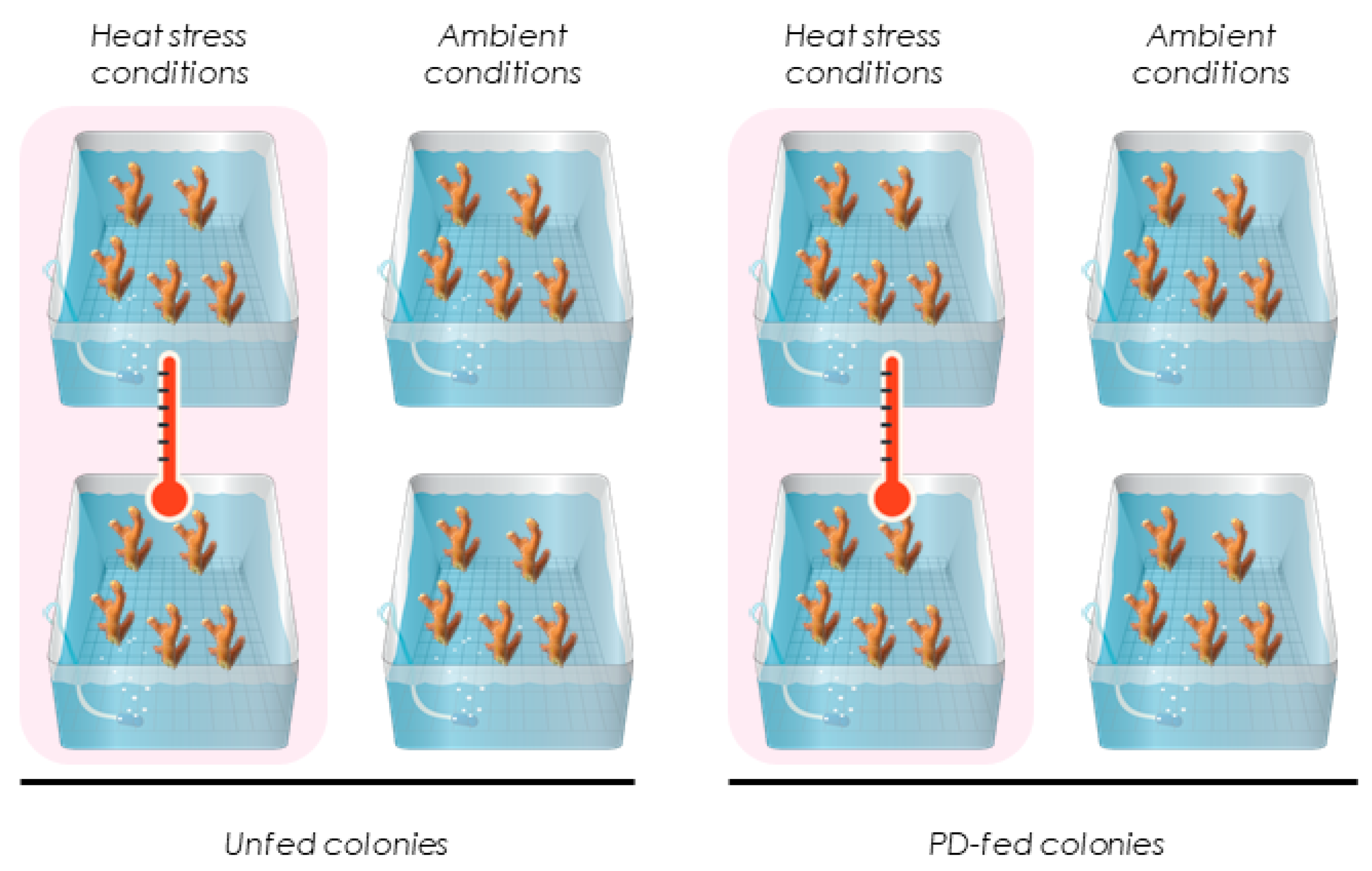 Biomolecules 12 00537 g001 550