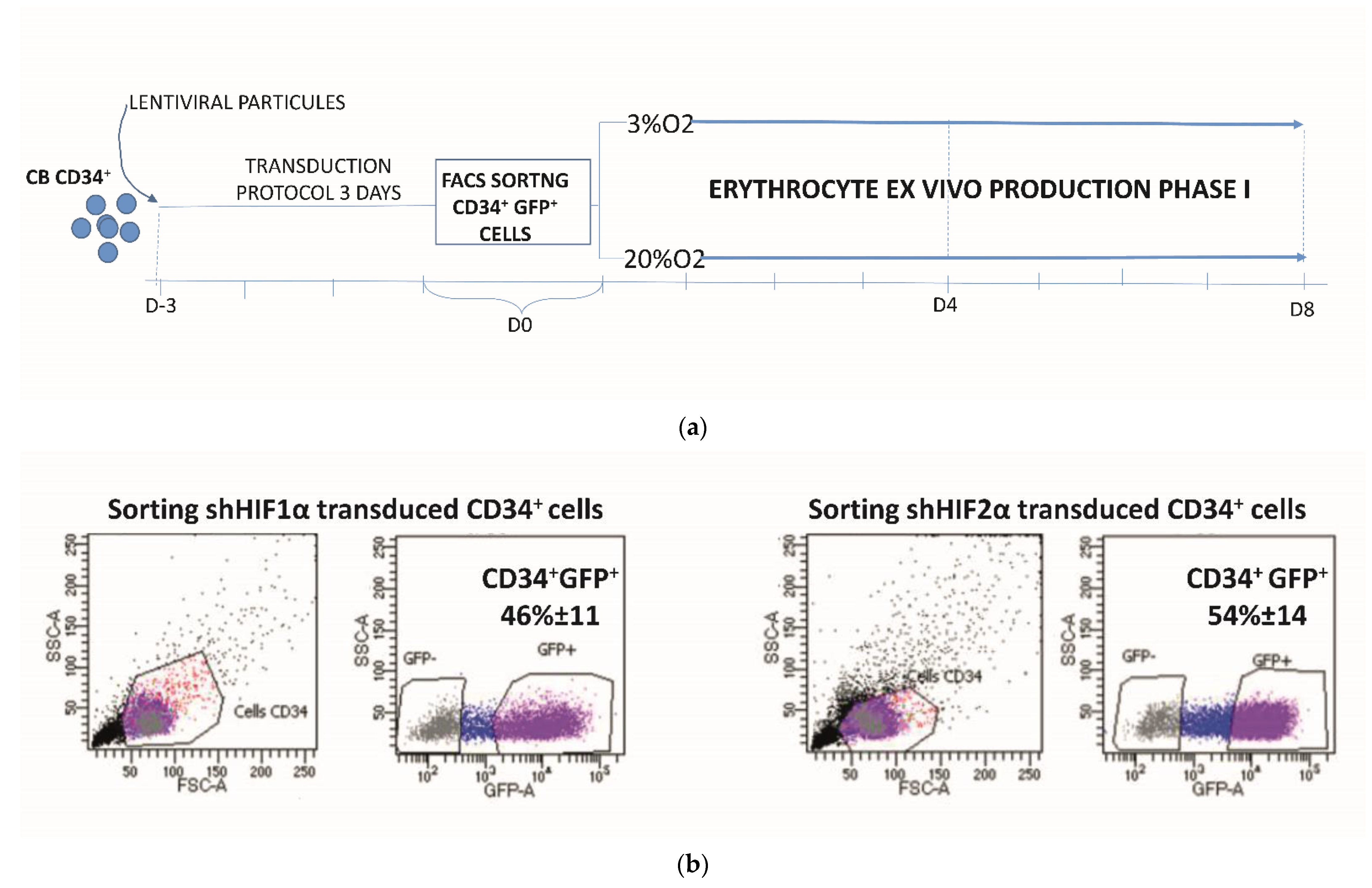 Biomolecules 12 00540 g001 Biomolecules 12 00540 g001