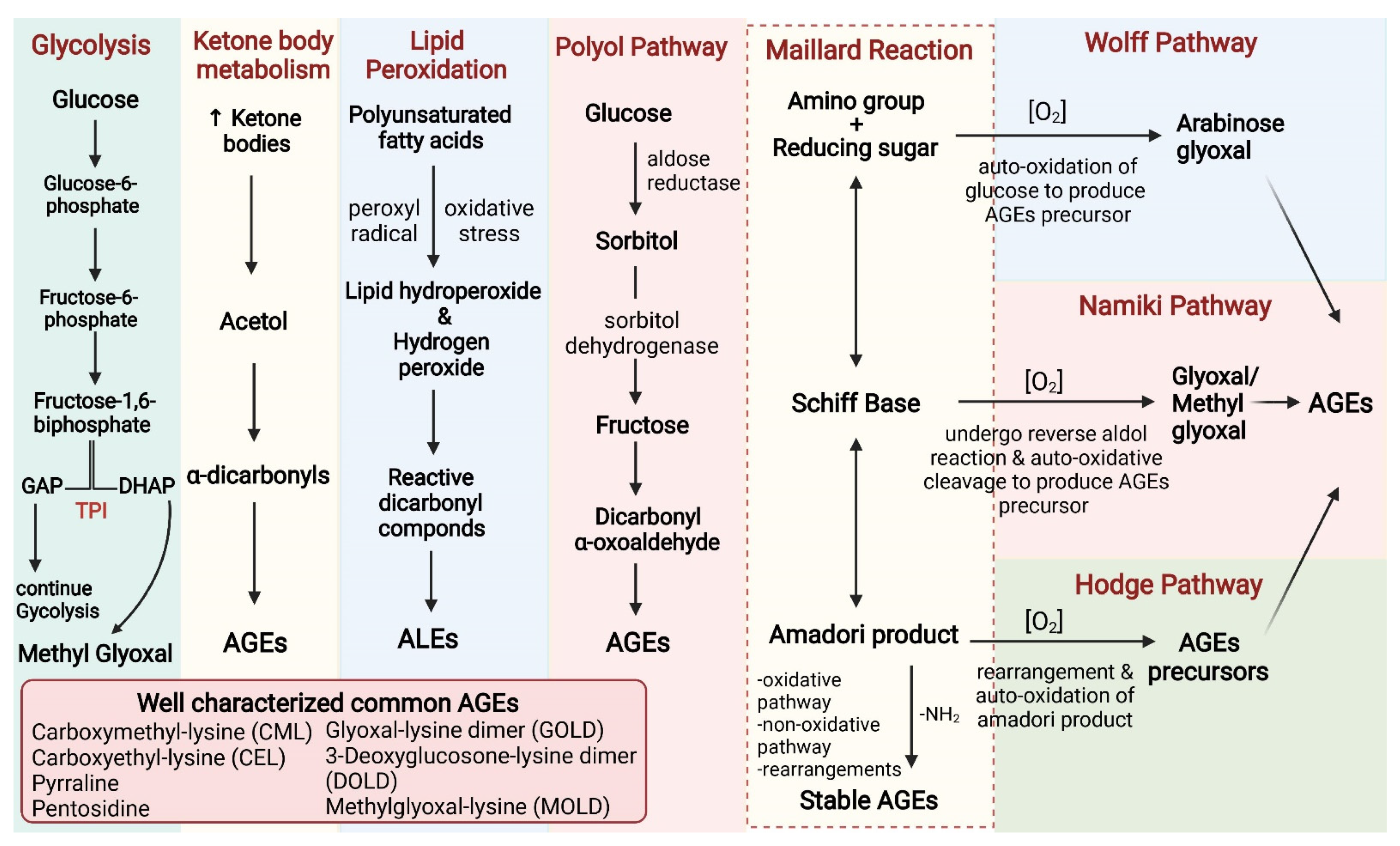 Biomolecules 12 00542 g001