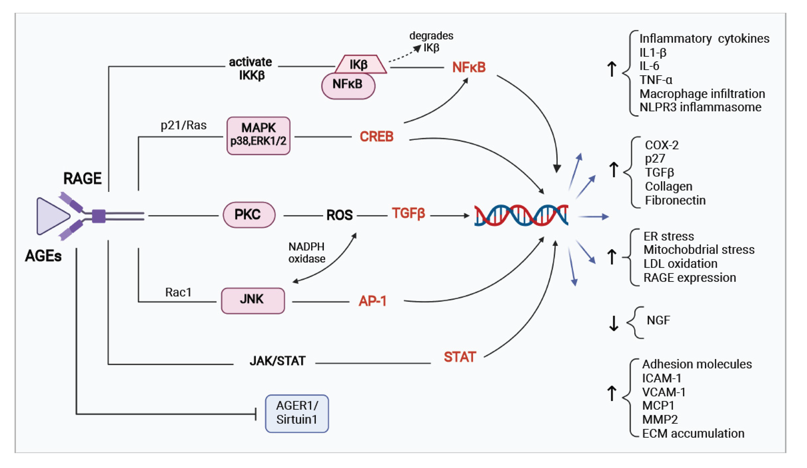 Biomolecules 12 00542 g003