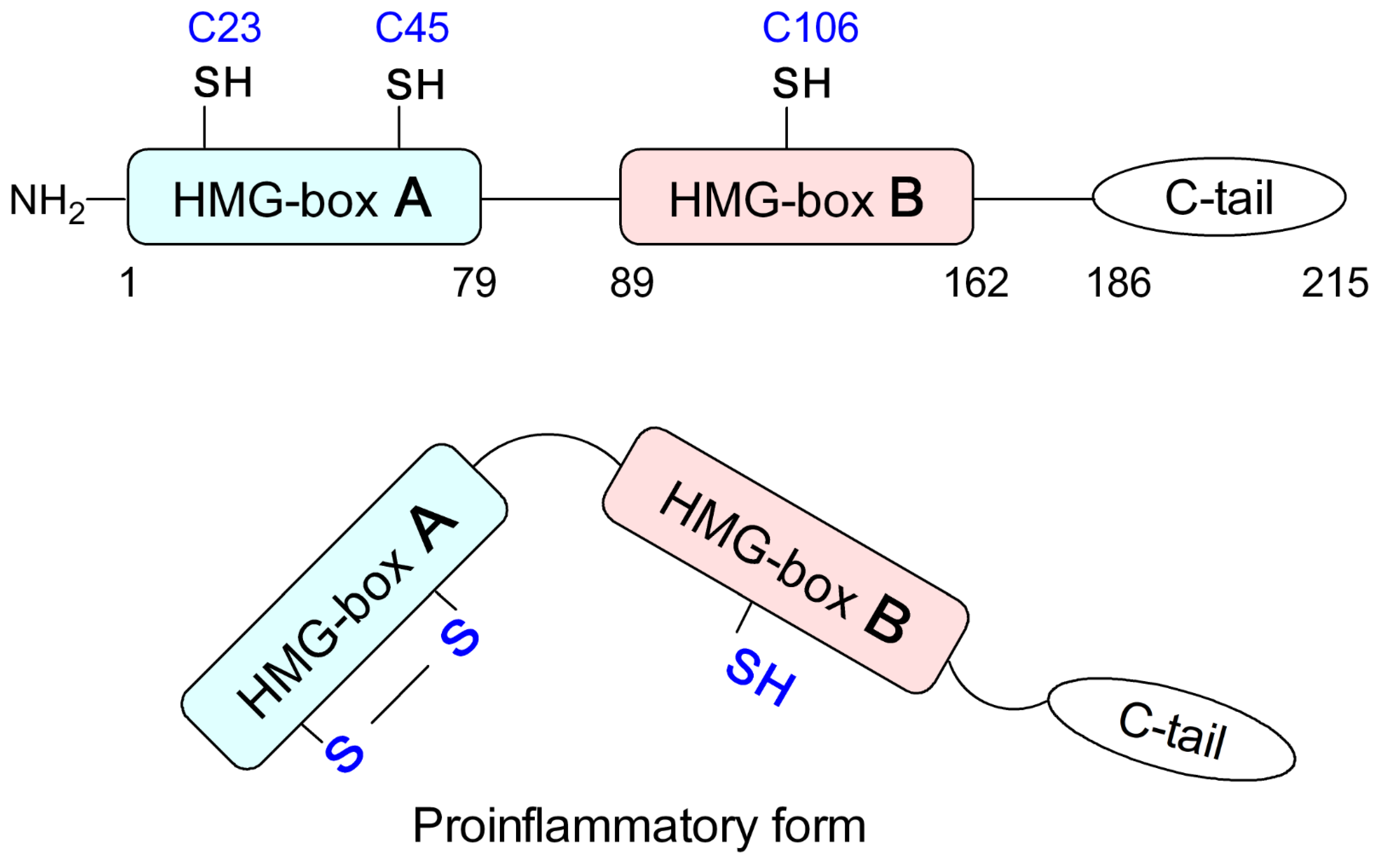 Biomolecules 12 00544 g001