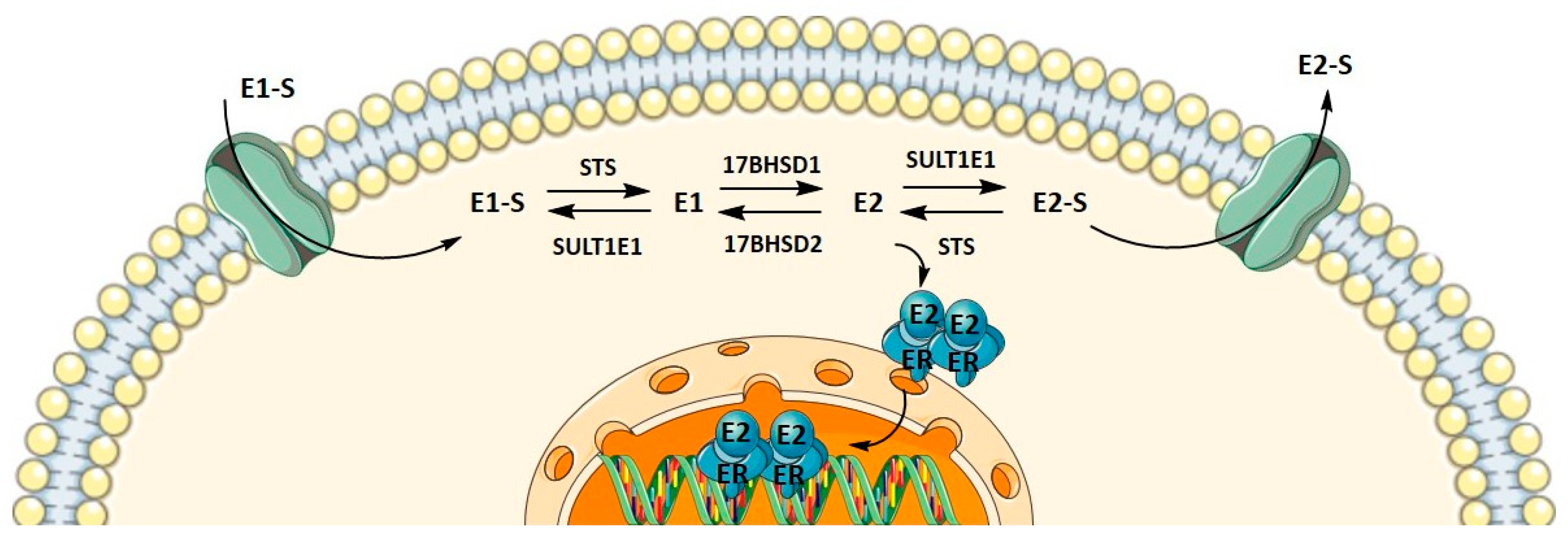 Biomolecules 12 00545 g001