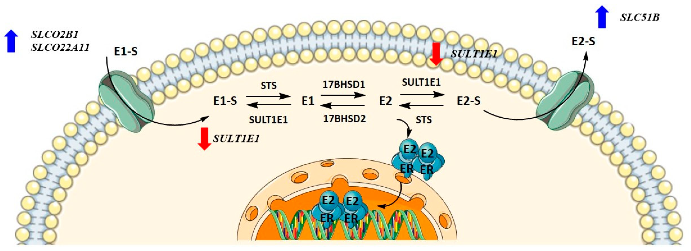 Biomolecules 12 00545 g008