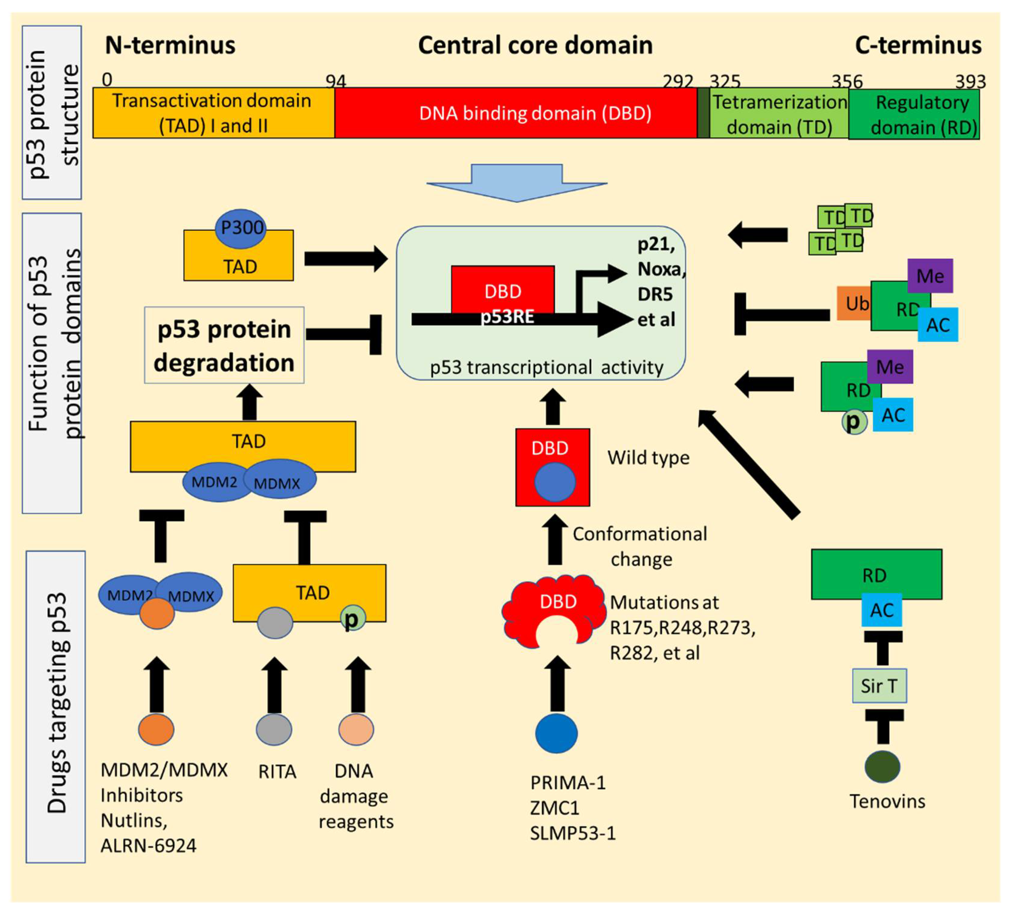 Biomolecules 12 00548 g001 Biomolecules 12 00548 g001