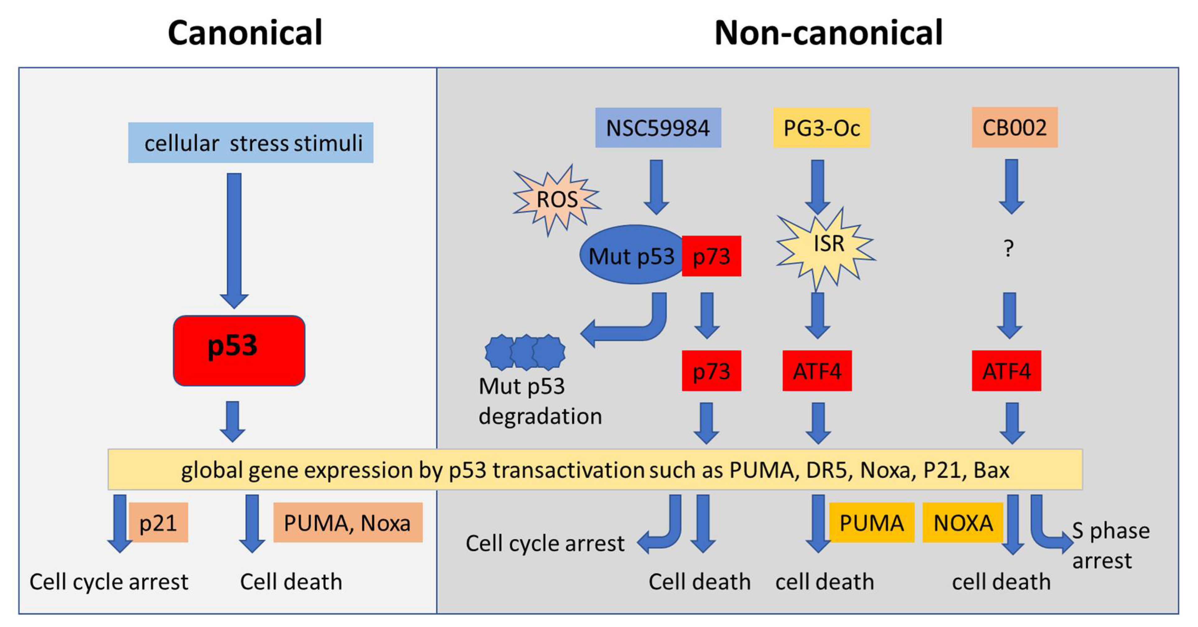 Biomolecules 12 00548 g003 Biomolecules 12 00548 g003