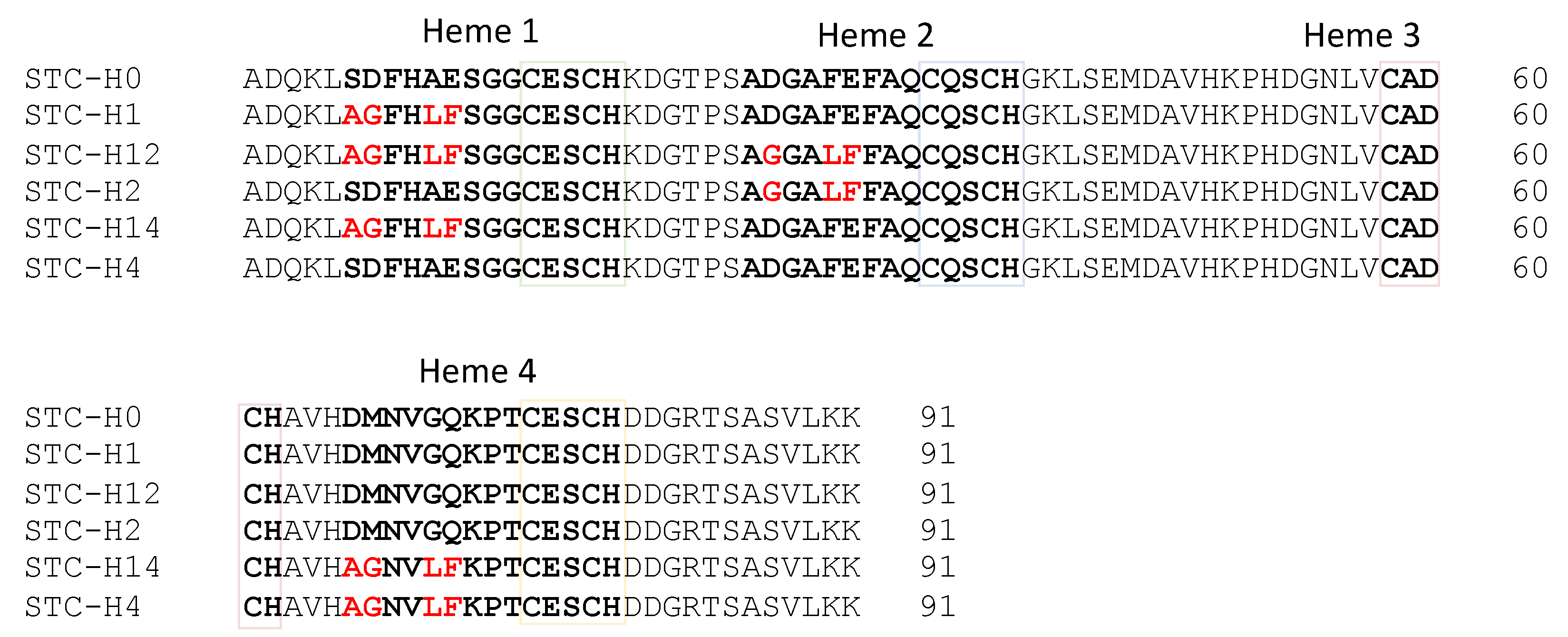 Biomolecules 12 00549 g001