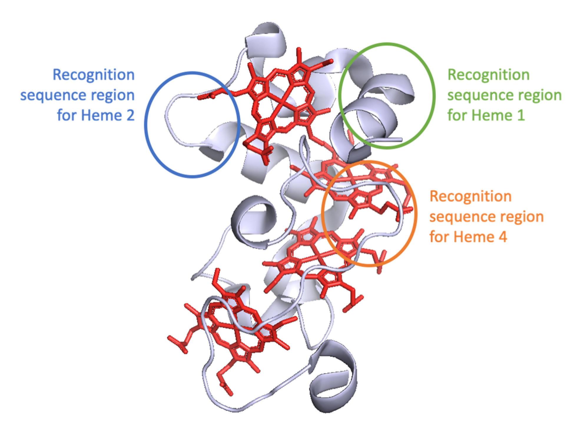 Biomolecules 12 00549 g003