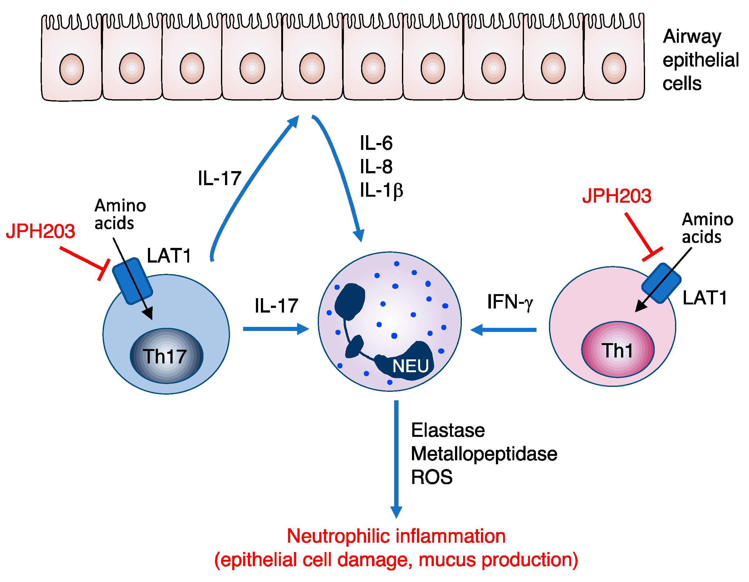 Biomolecules 12 00553 g003 550