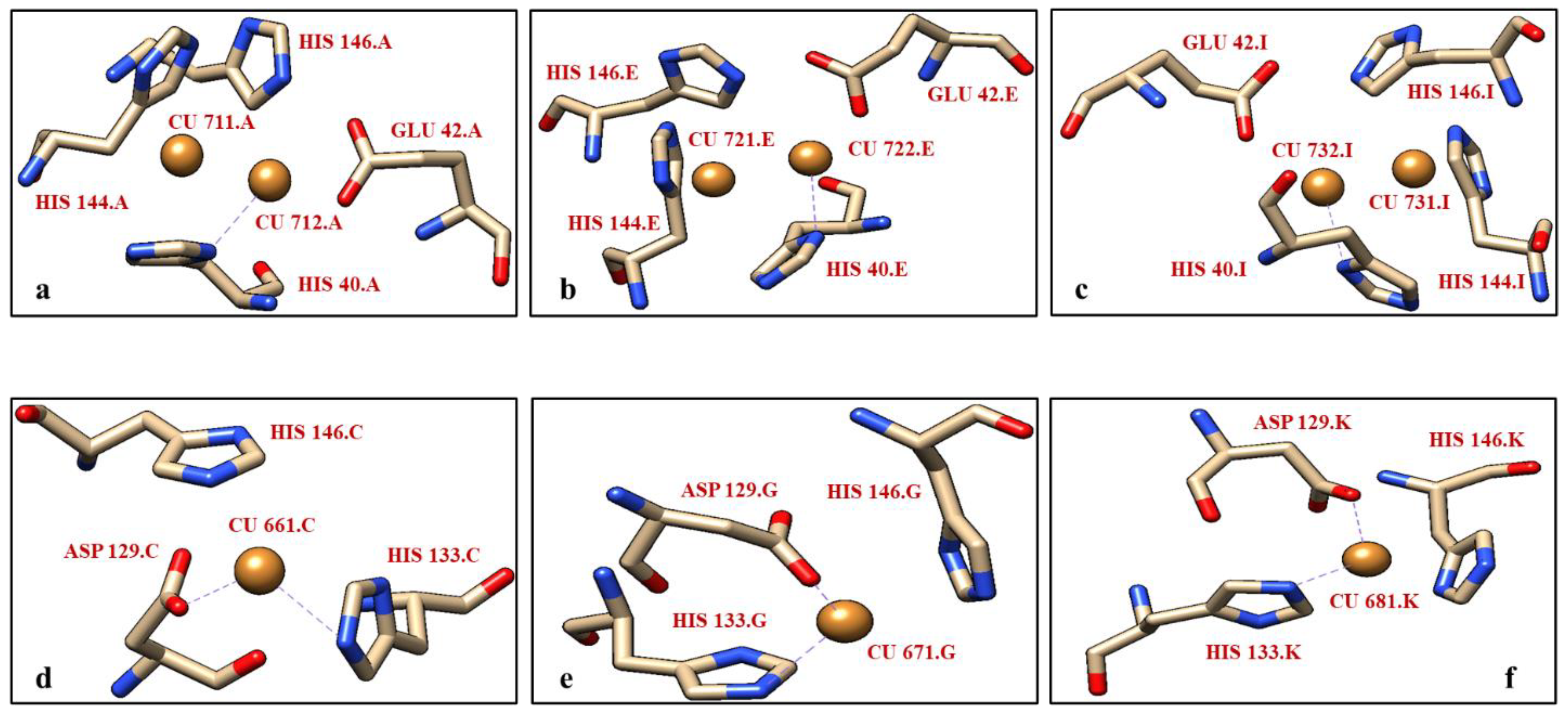 Biomolecules 12 00560 g001