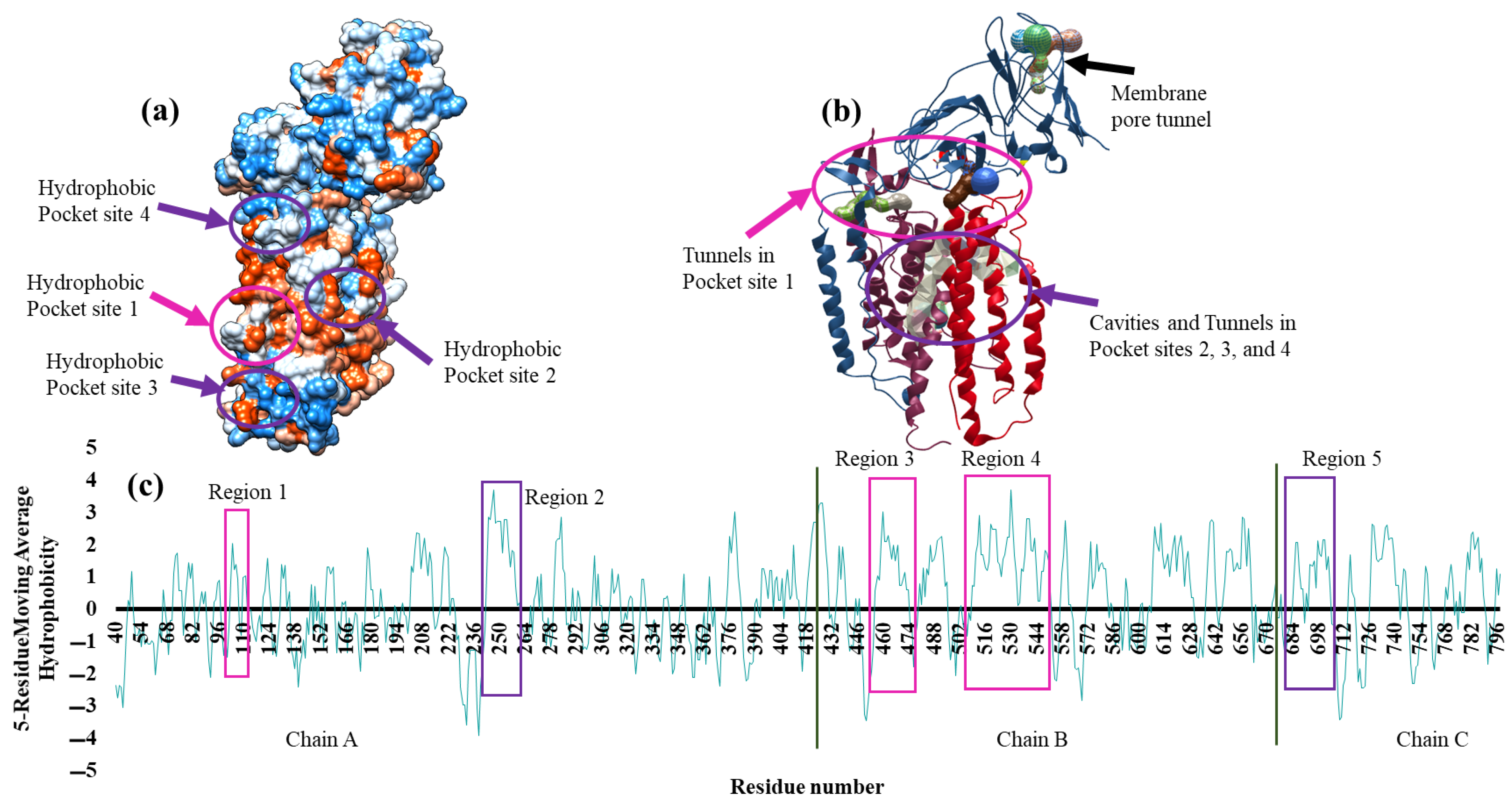 Biomolecules 12 00560 g004