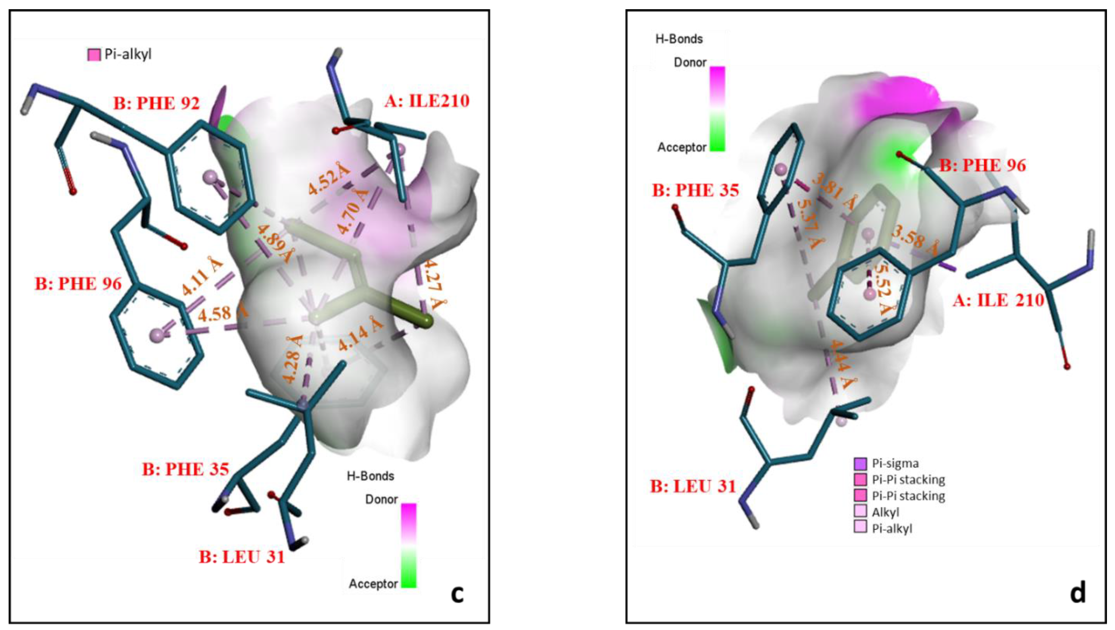 Biomolecules 12 00560 g005b