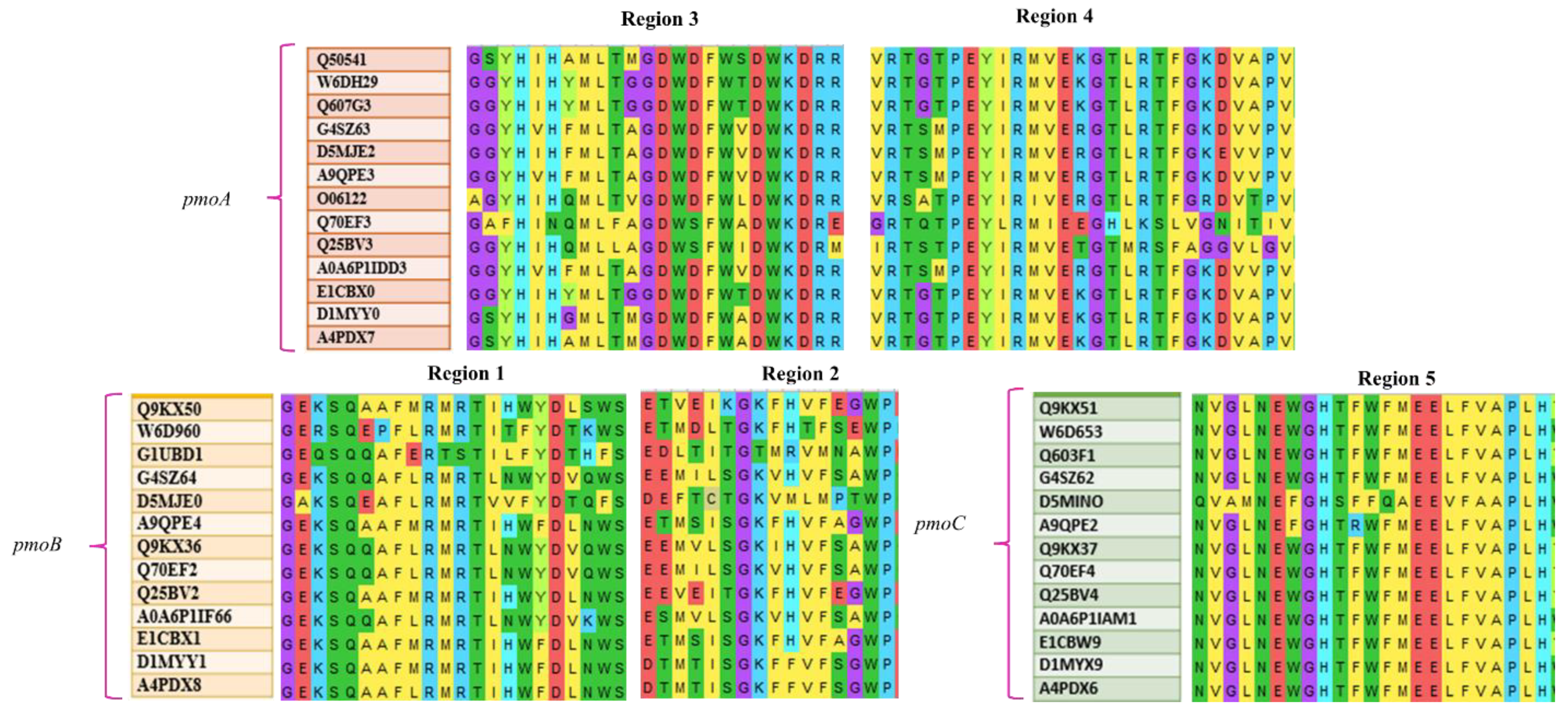 Biomolecules 12 00560 g006