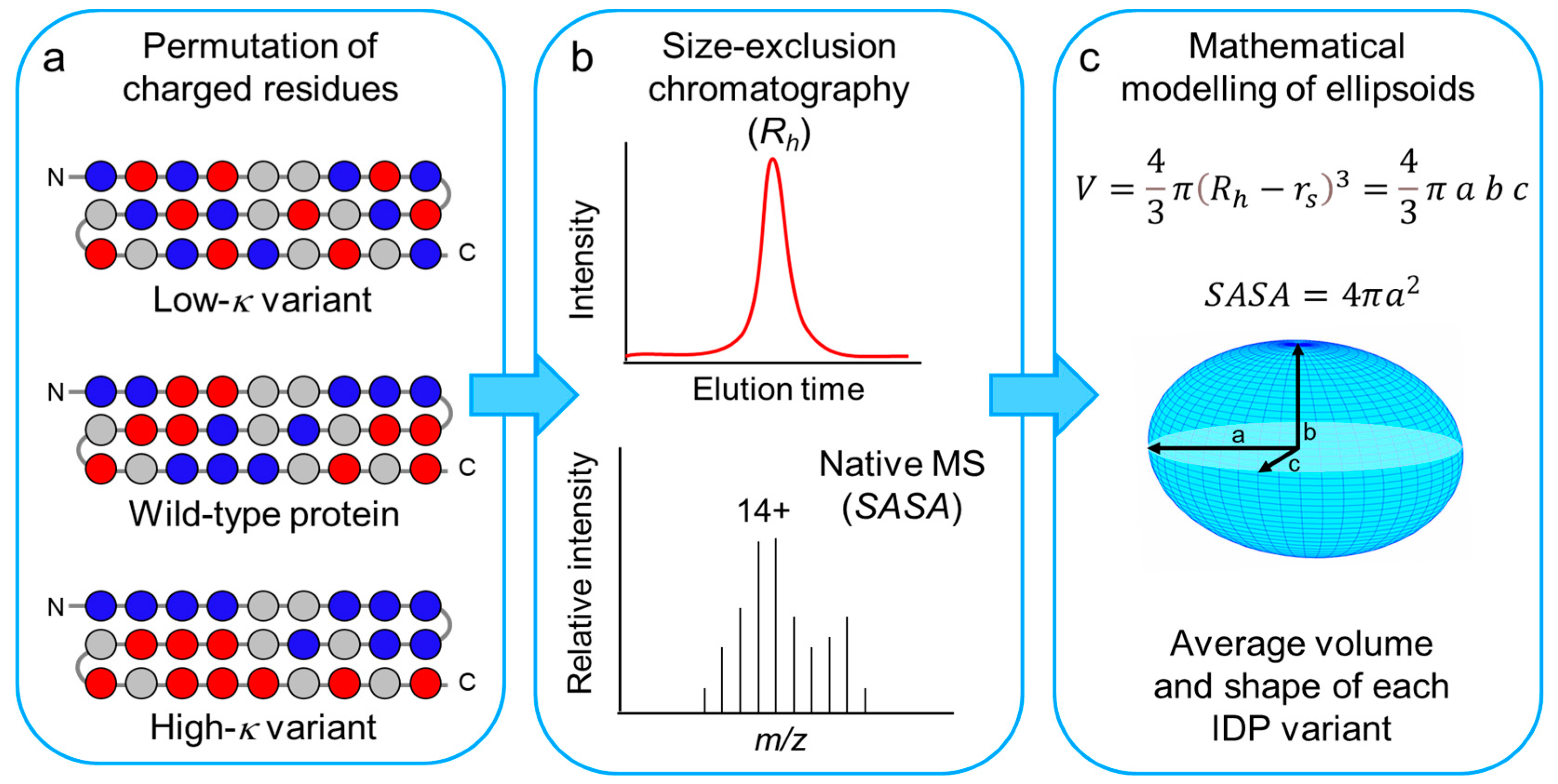Biomolecules 12 00561 g001