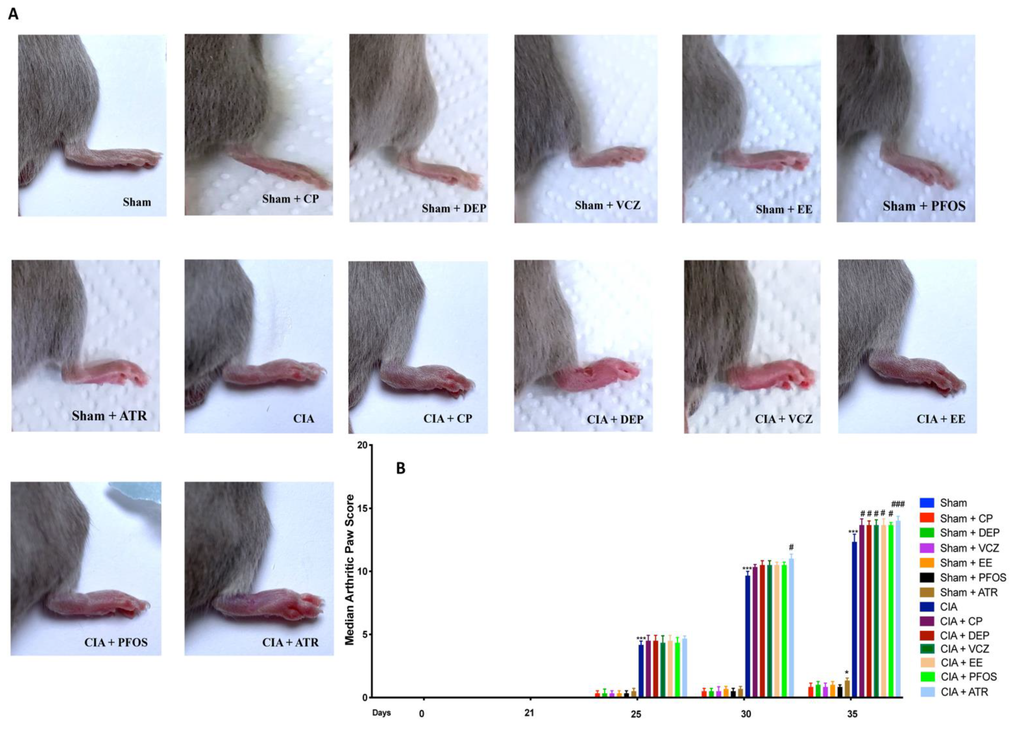 Biomolecules 12 00564 g002 Biomolecules 12 00564 g002