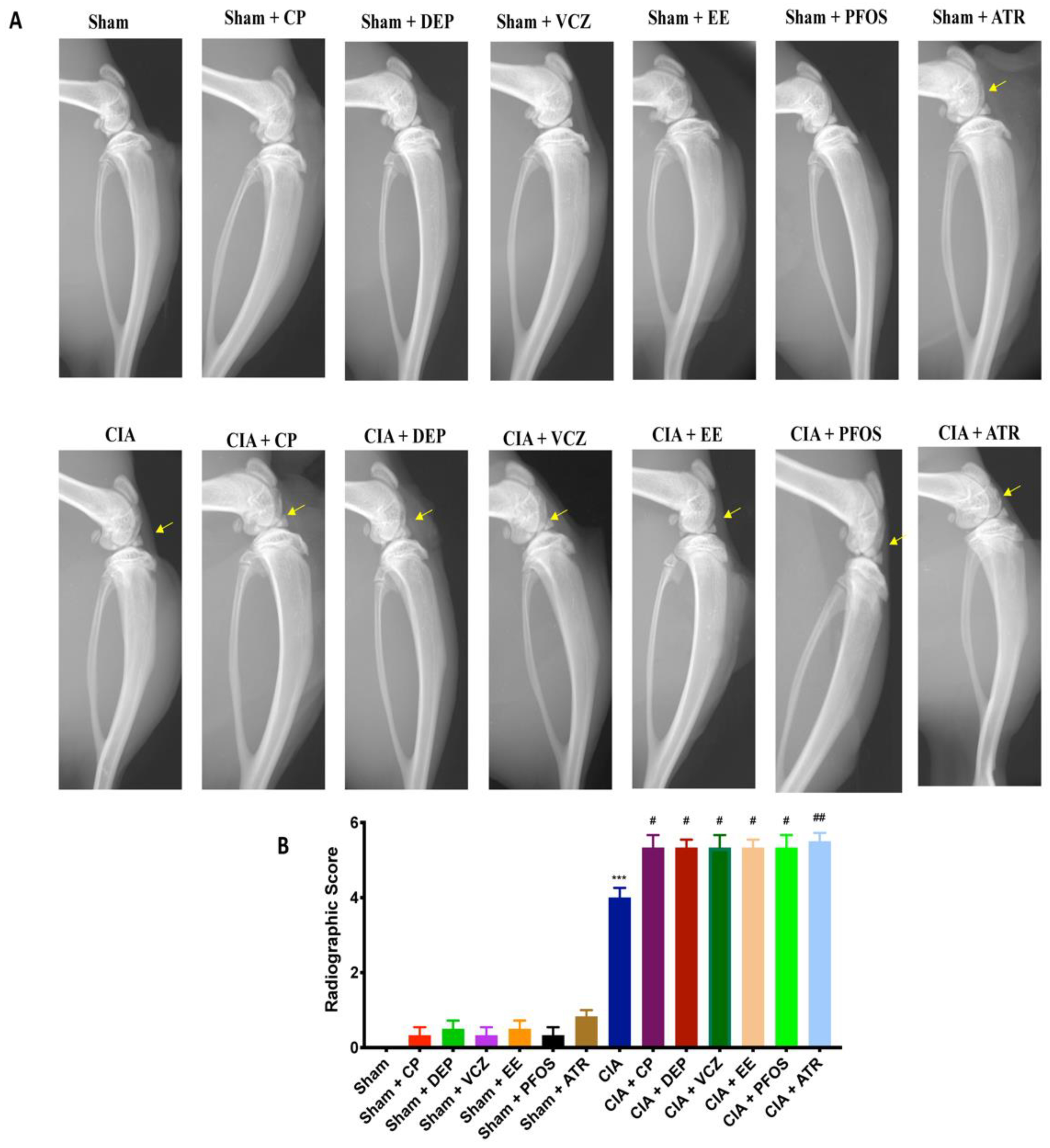 Biomolecules 12 00564 g004 Biomolecules 12 00564 g004