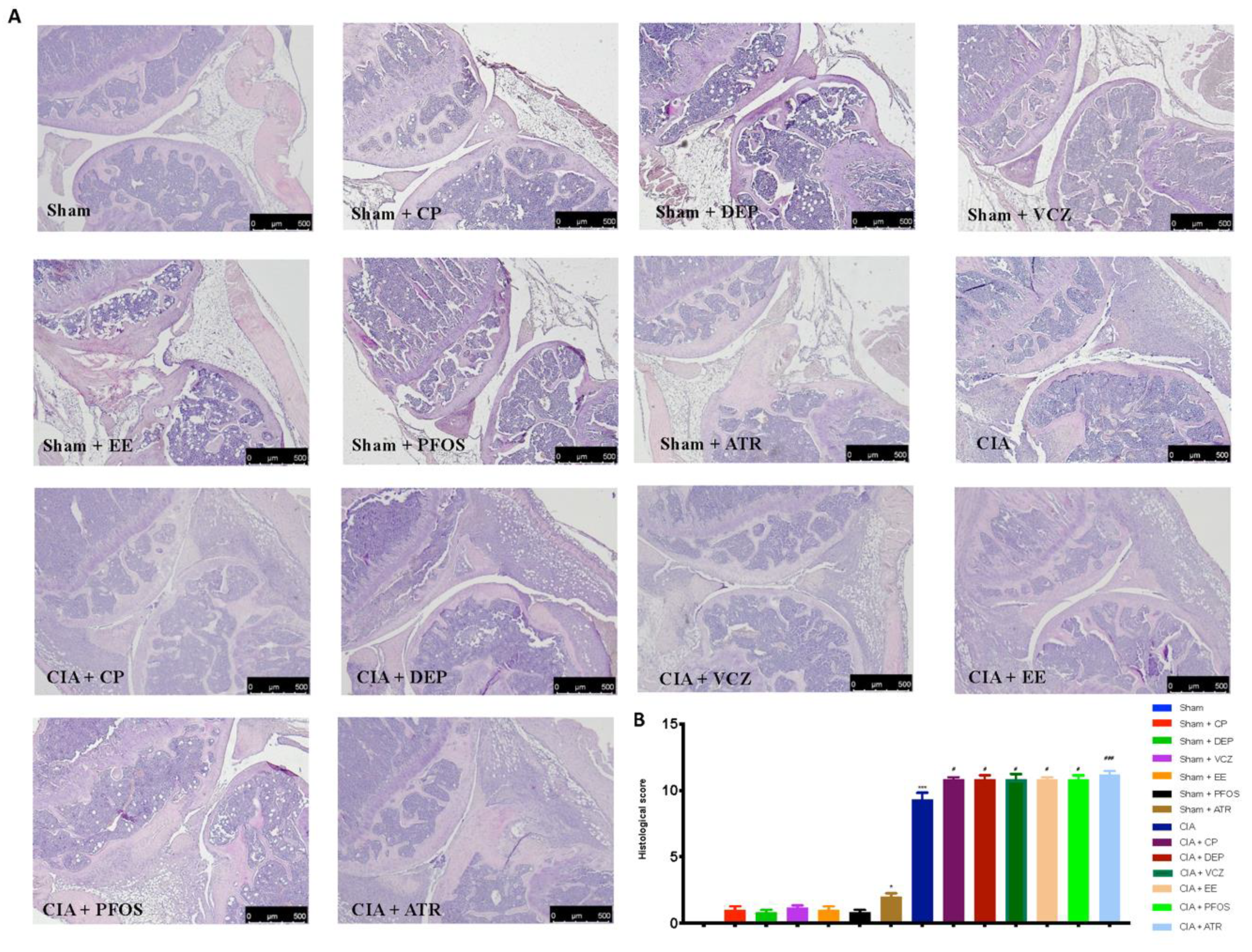 Biomolecules 12 00564 g005 Biomolecules 12 00564 g005