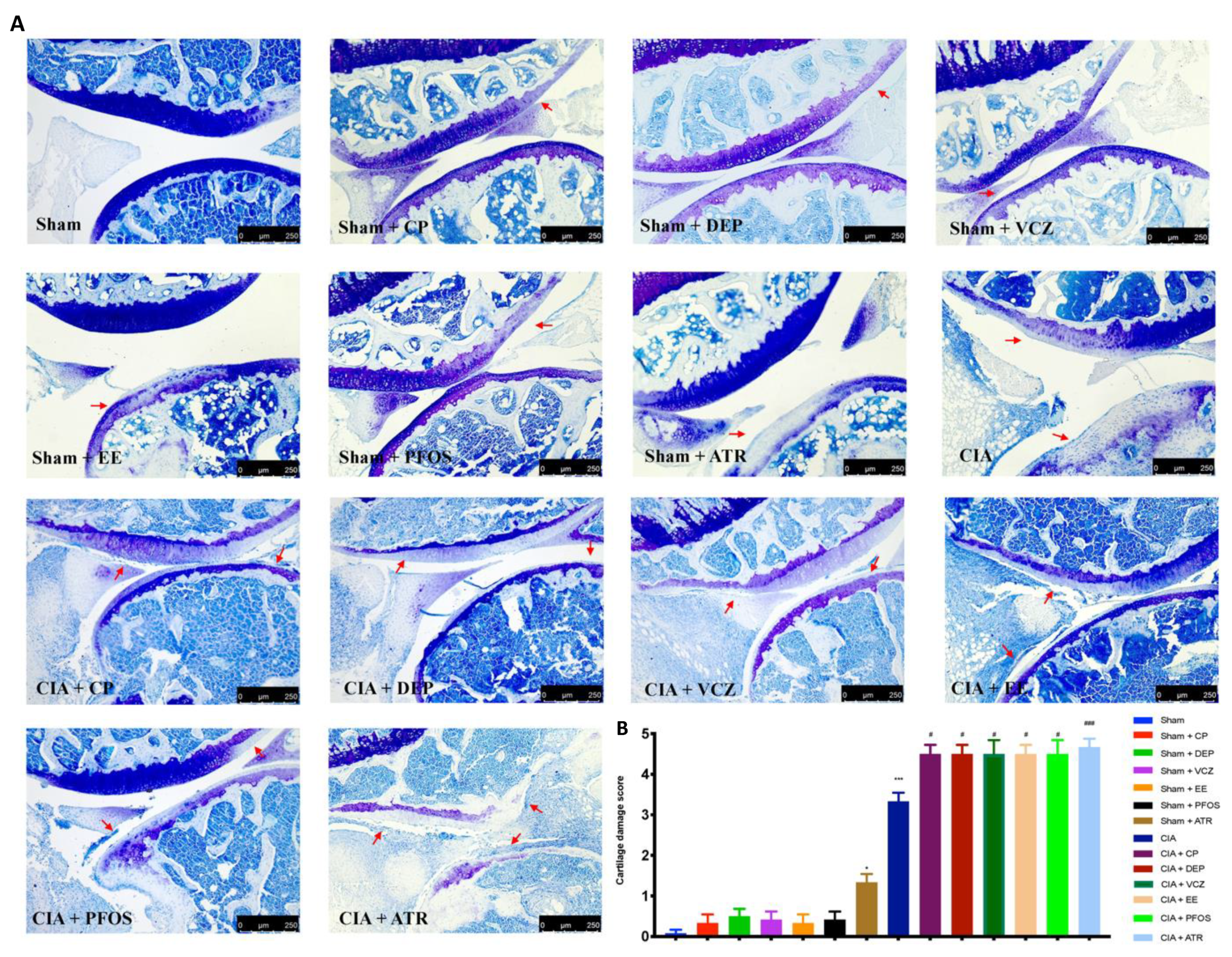 Biomolecules 12 00564 g006 Biomolecules 12 00564 g006