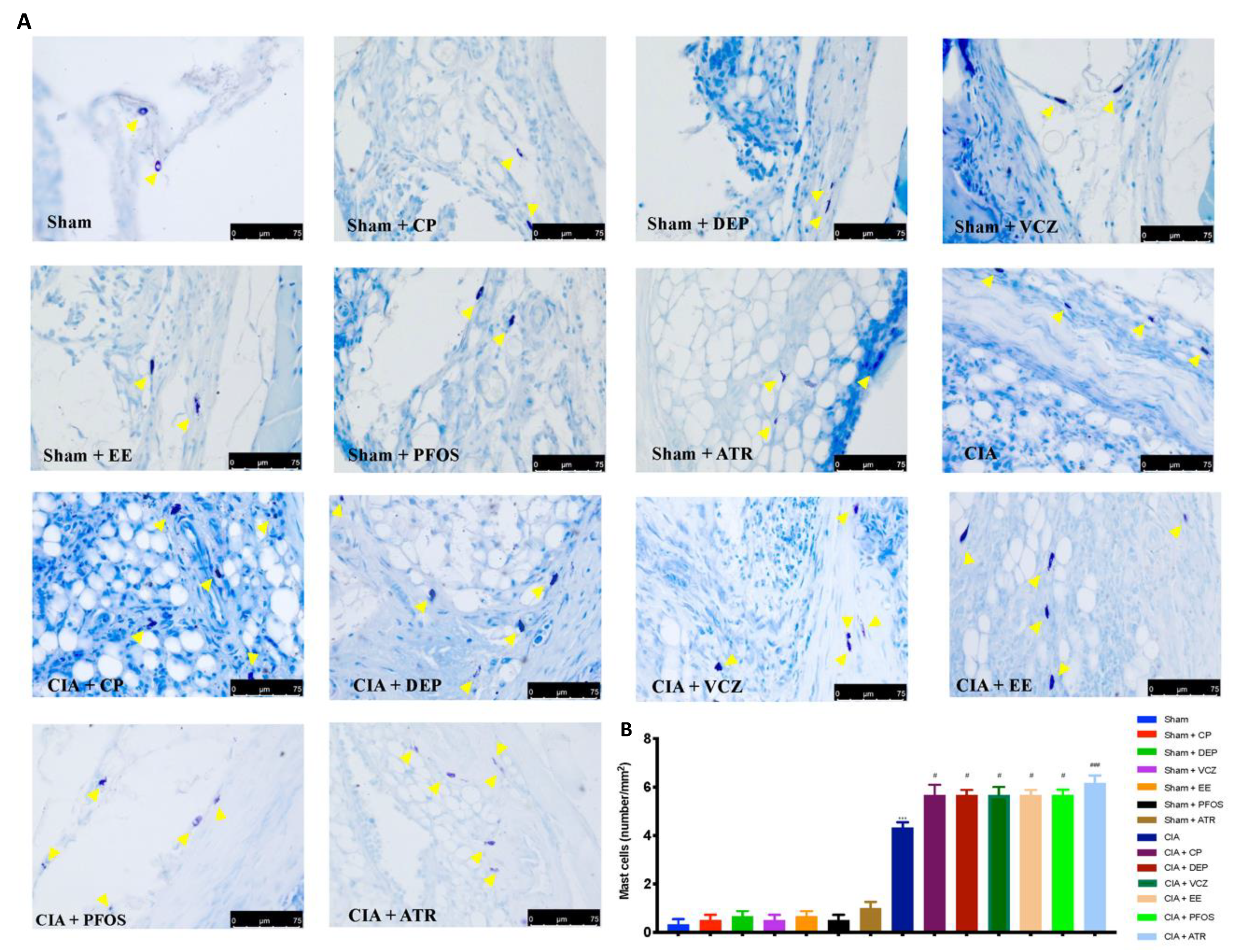 Biomolecules 12 00564 g007 Biomolecules 12 00564 g007