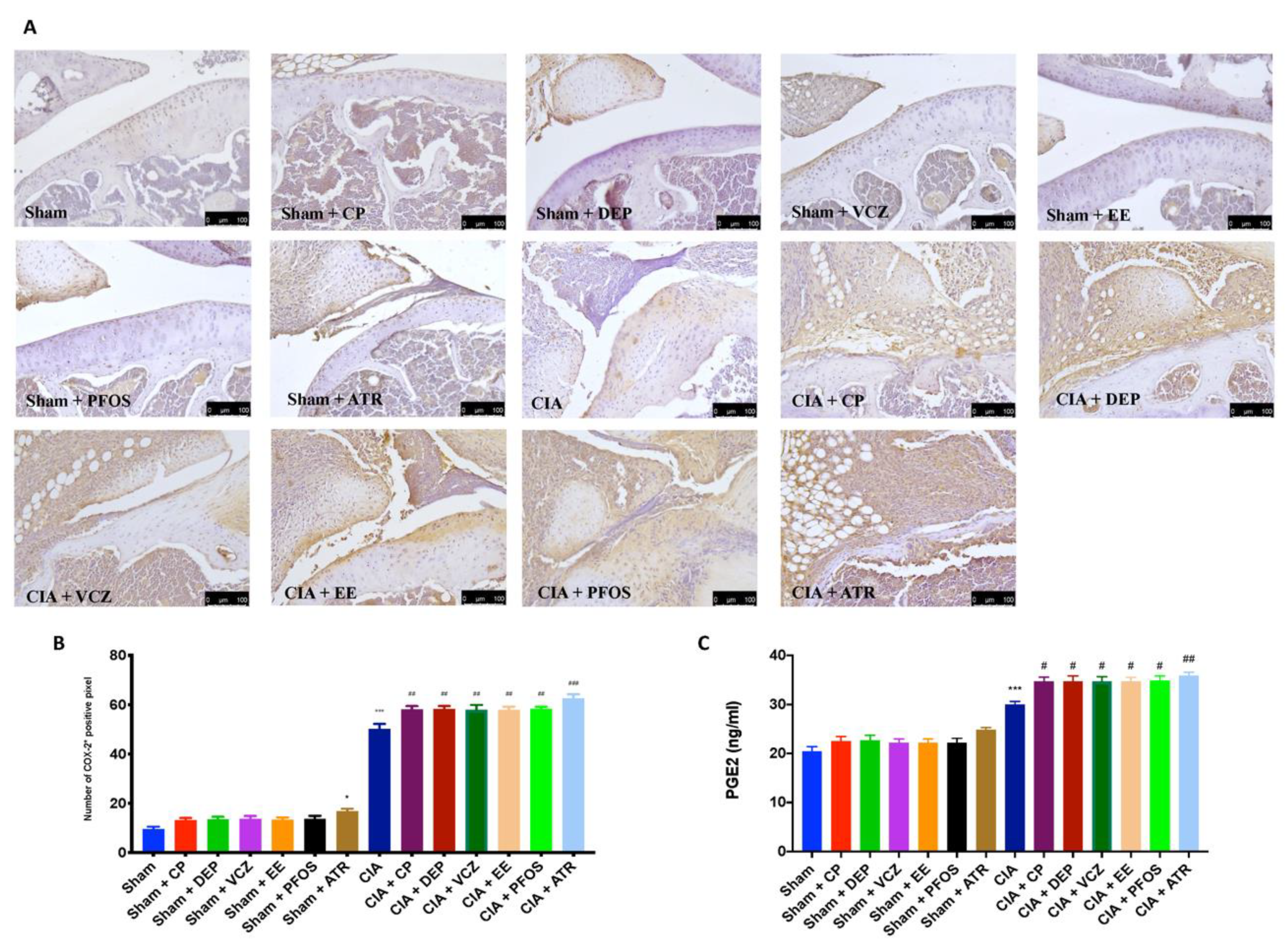Biomolecules 12 00564 g010 Biomolecules 12 00564 g010