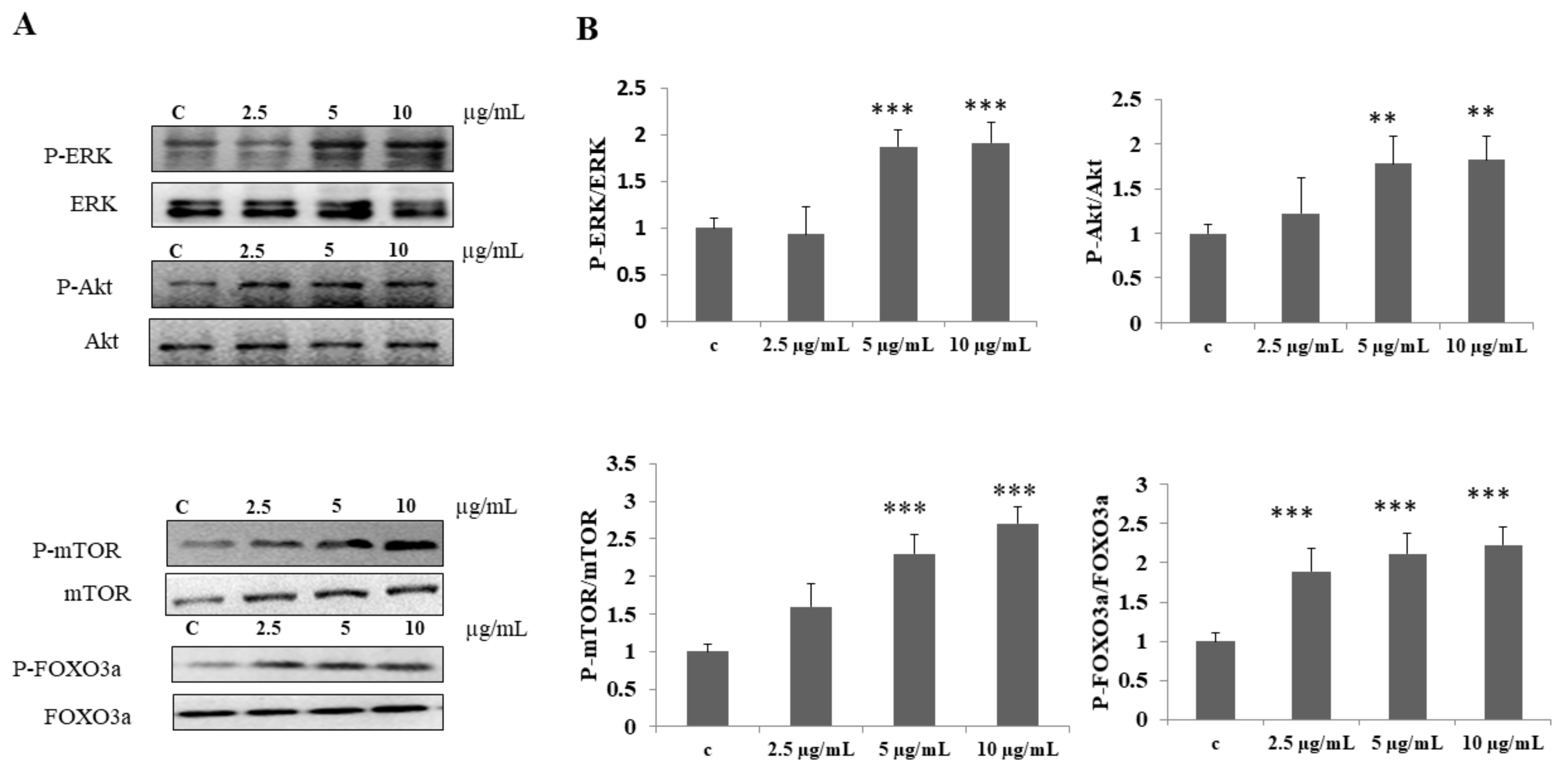 Biomolecules 12 00565 g002 550