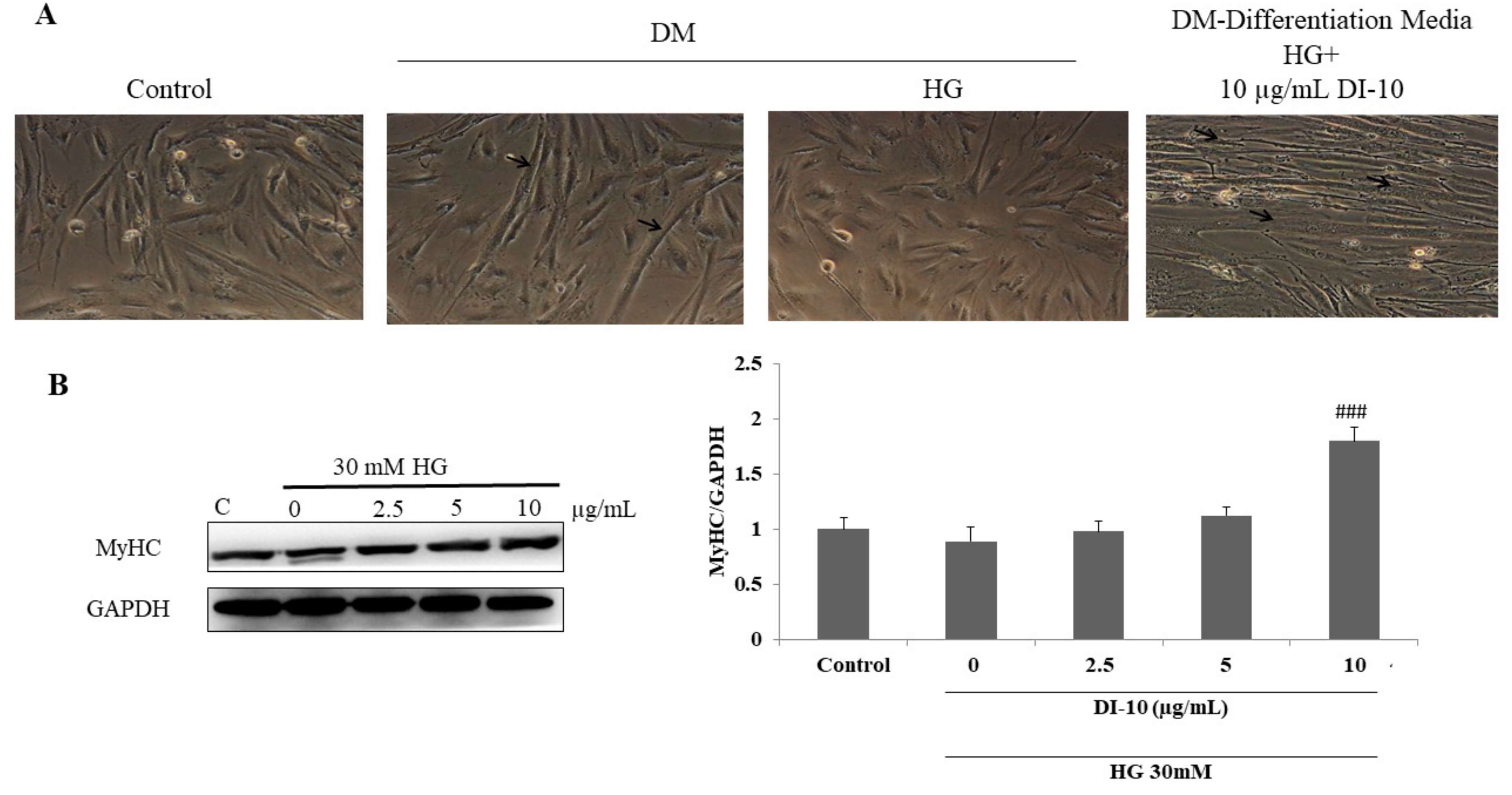 Biomolecules 12 00565 g004 550