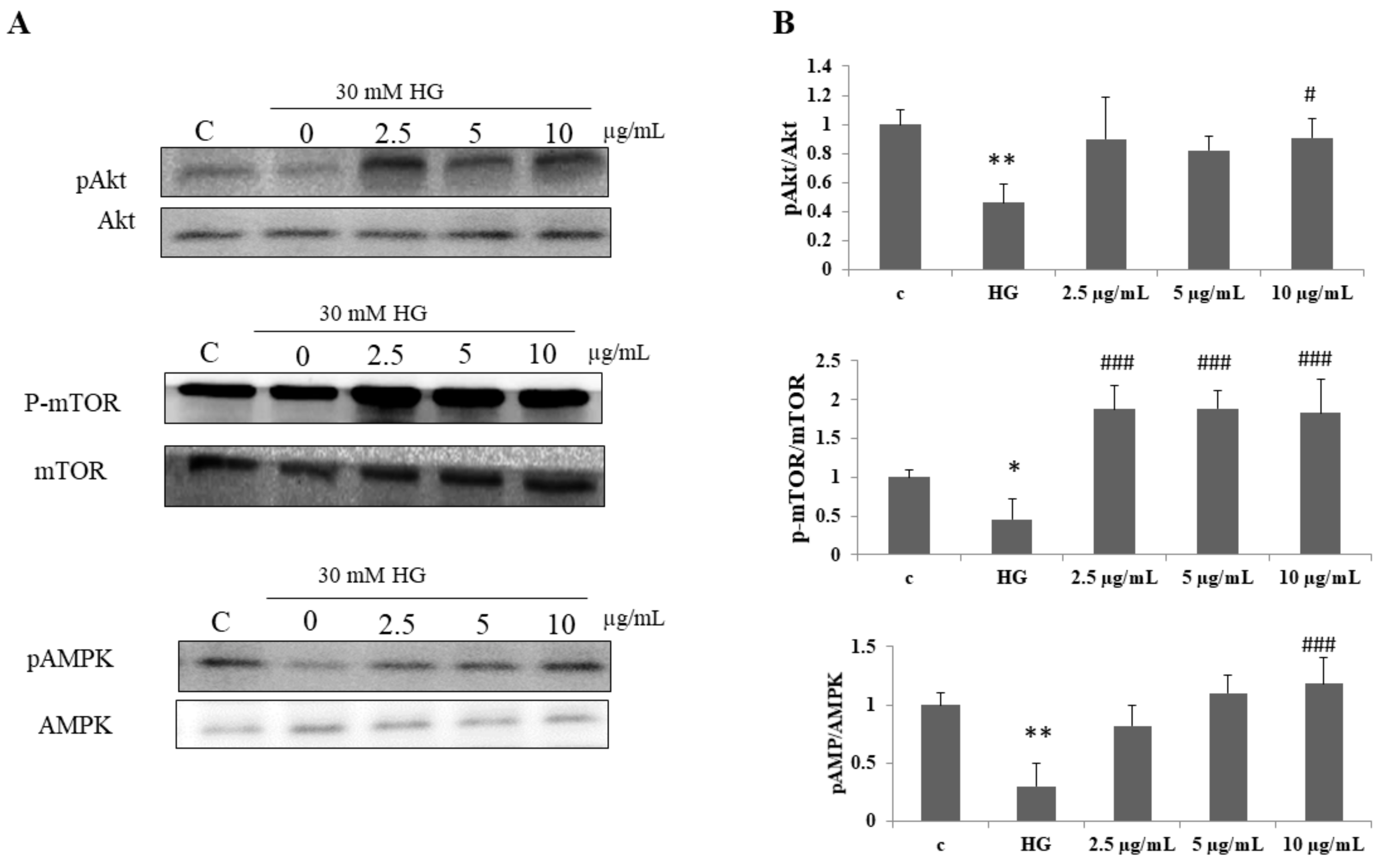 Biomolecules 12 00565 g005 550